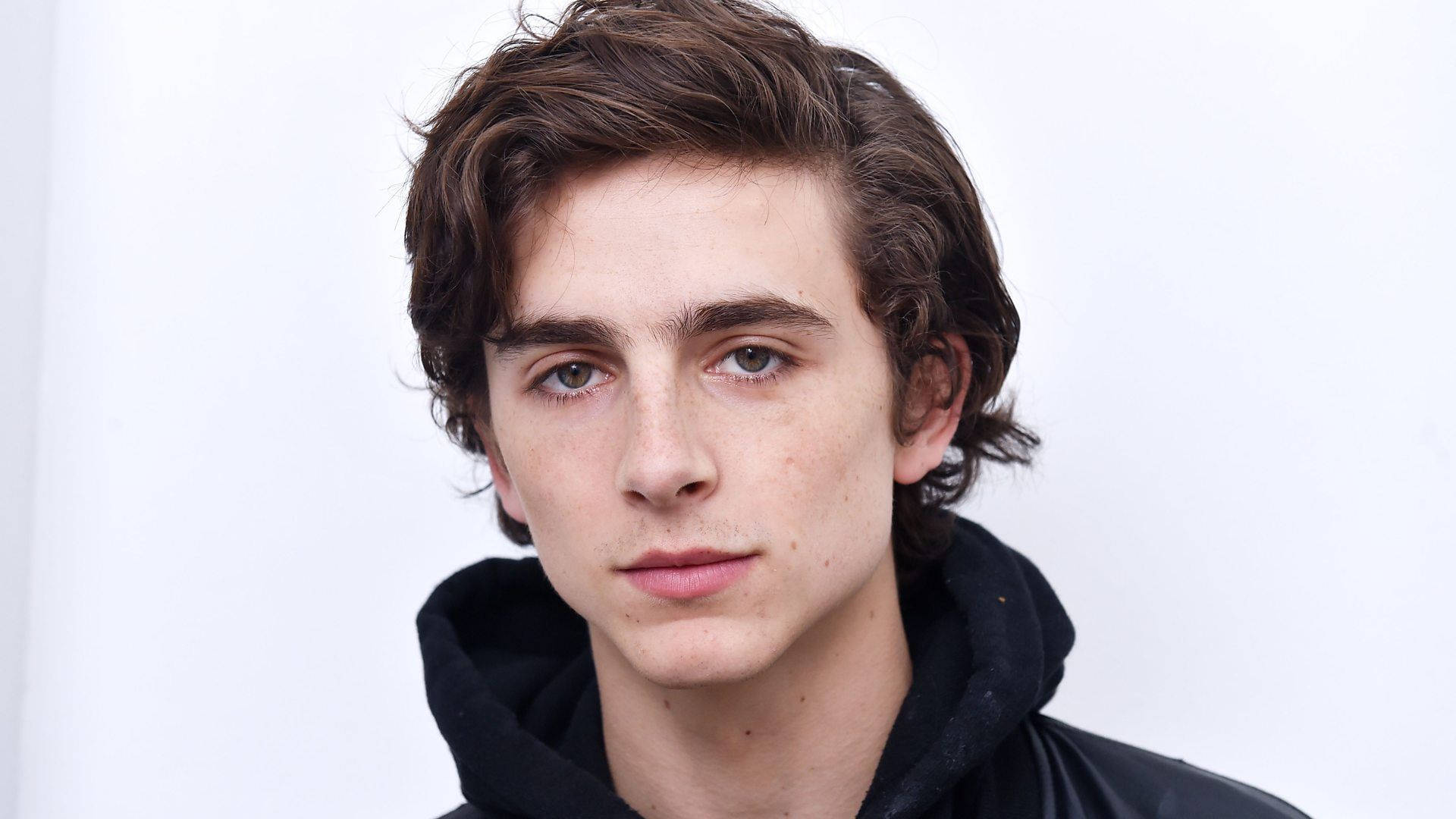 Timothée Chalamet, black hoodie, wavy brown hair, Full HD Desktop Wallpaper