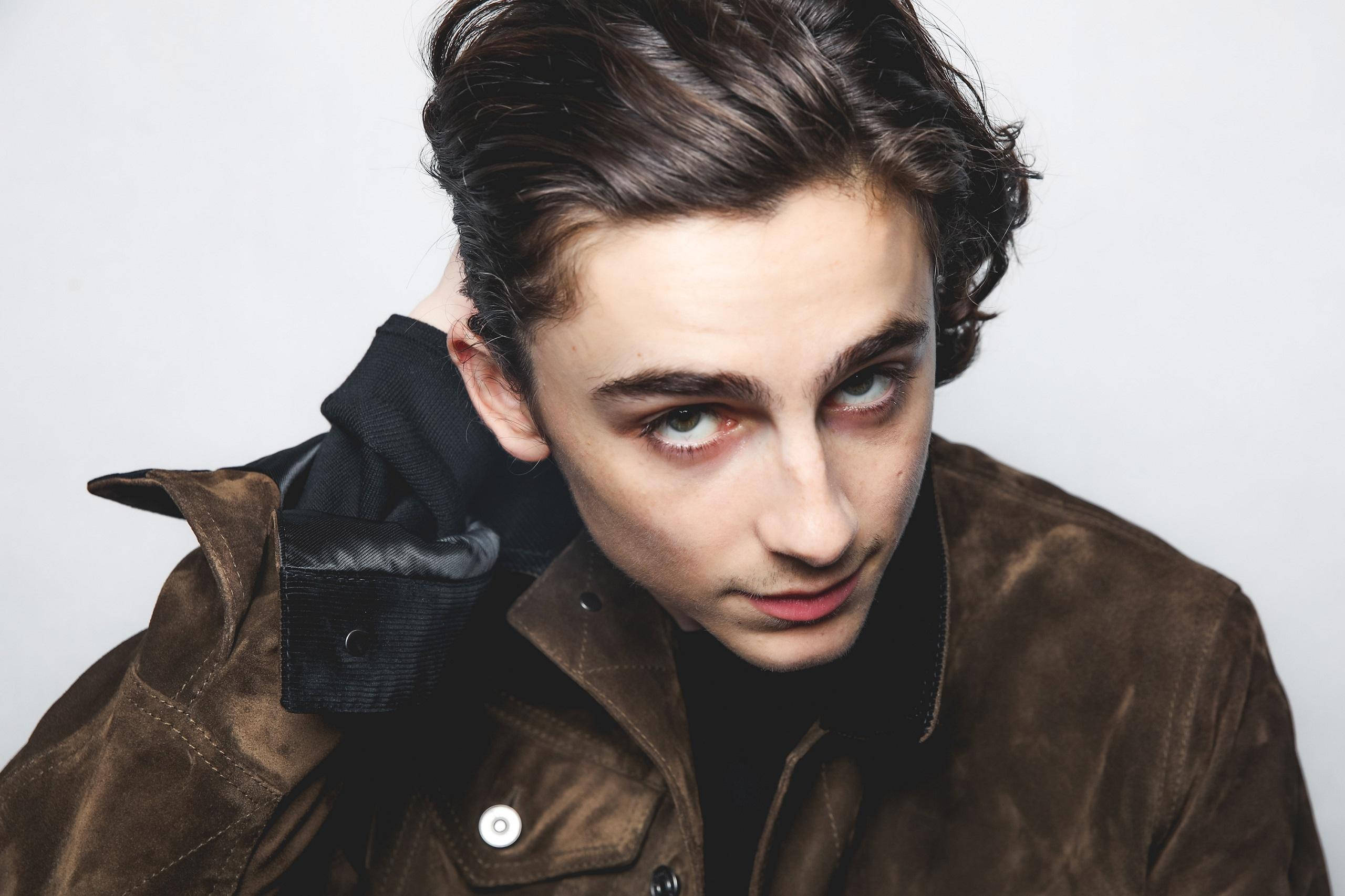 Timothée Chalamet, dark brown jacket, brown suede jacket, 2K Desktop Wallpaper