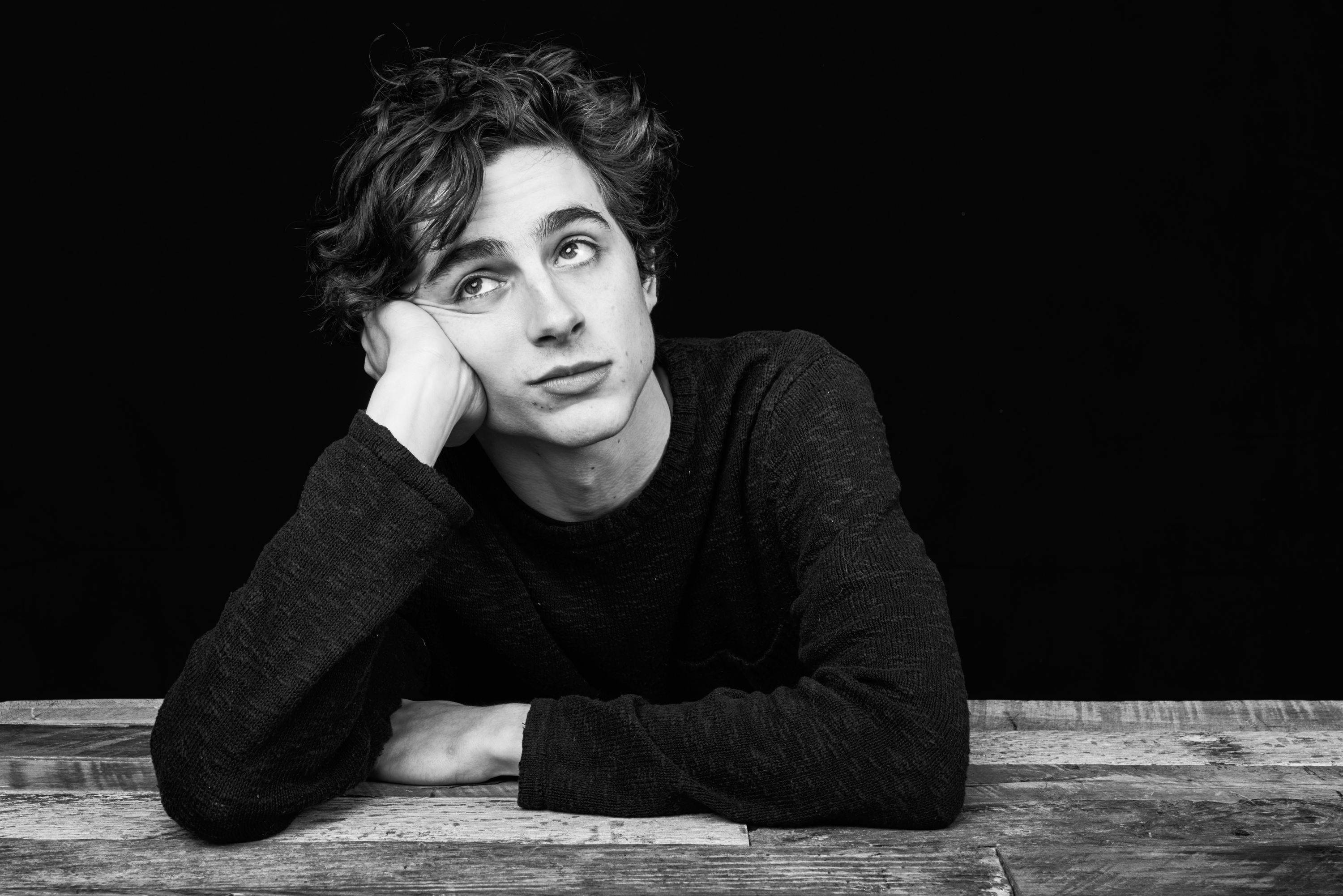 Timothée Chalamet, curly hair, chin on hand, 2K Desktop Wallpaper
