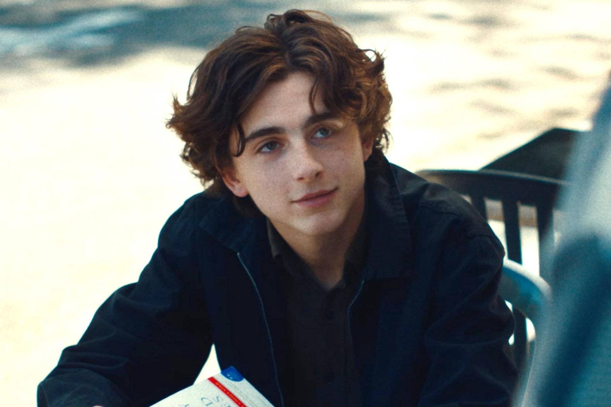 Timothée Chalamet, all black outfit, black jacket, Full HD Desktop Wallpaper