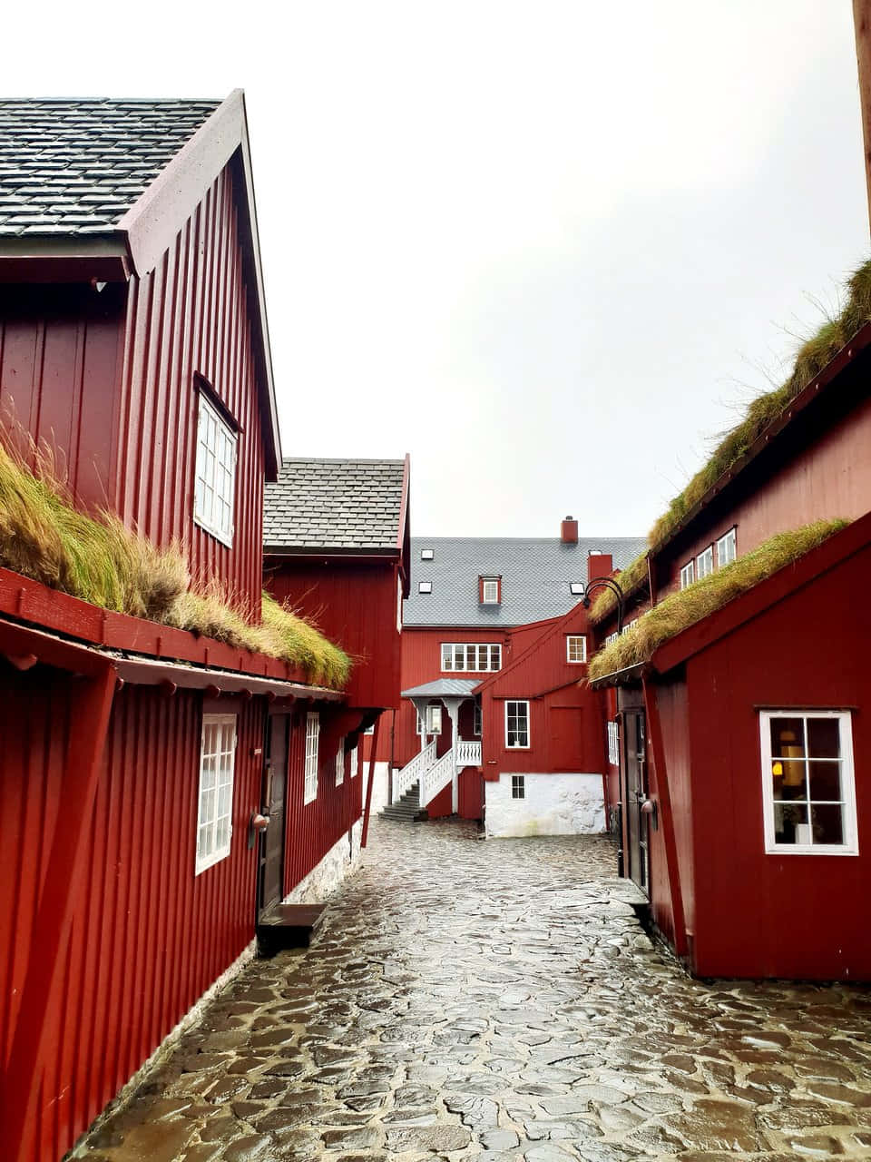 Tinganes, wet cobblestone pavement, traditional red wooden houses, HD Phone Wallpaper