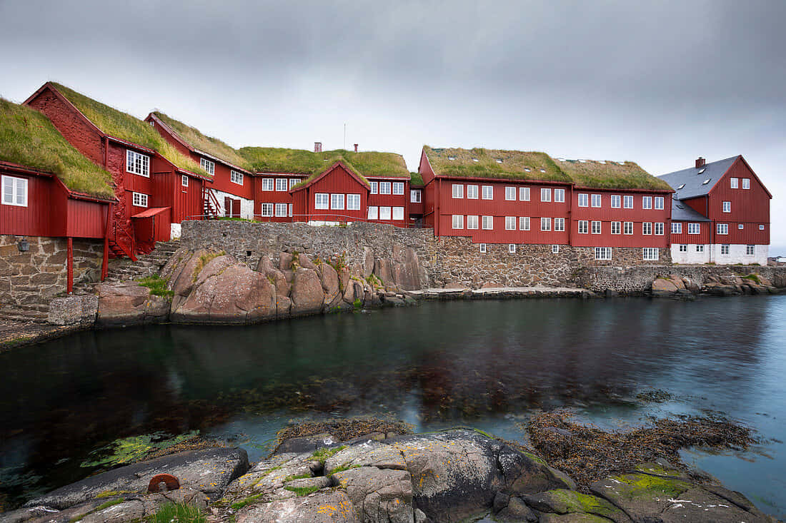 Tinganes, vibrant red houses, green grass roofs, SD Desktop Wallpaper