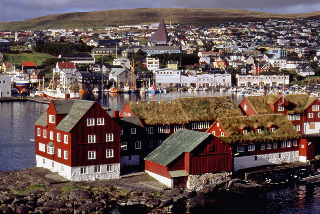Tinganes, vintage style, vibrant red and white houses, SD Desktop Wallpaper