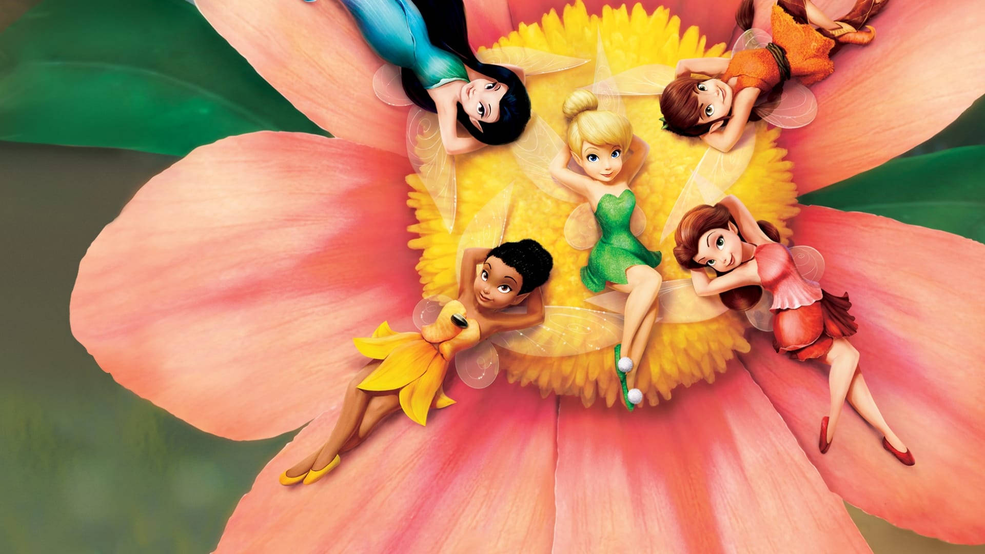 Tinker Bell, giant pink flower, yellow center, Full HD Desktop Wallpaper