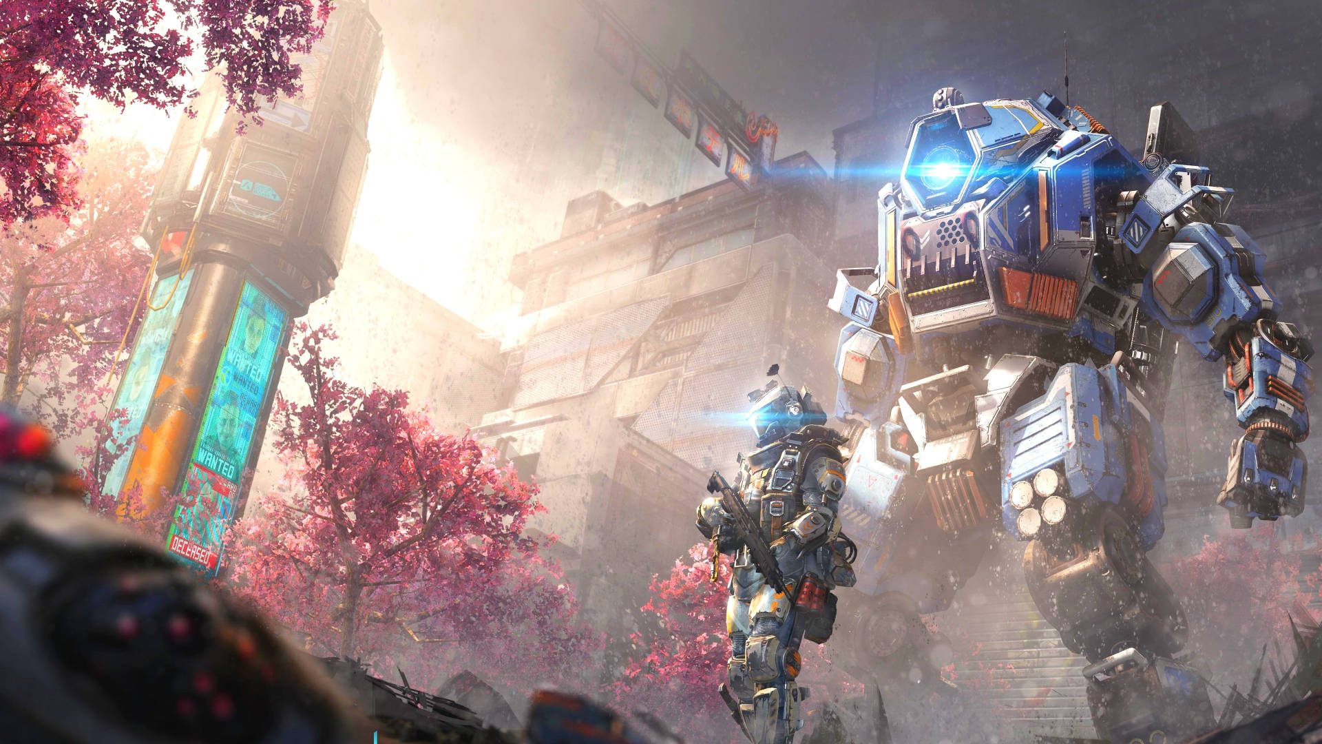 Titanfall, blue and white mech, cherry blossom trees, Full HD Desktop Wallpaper