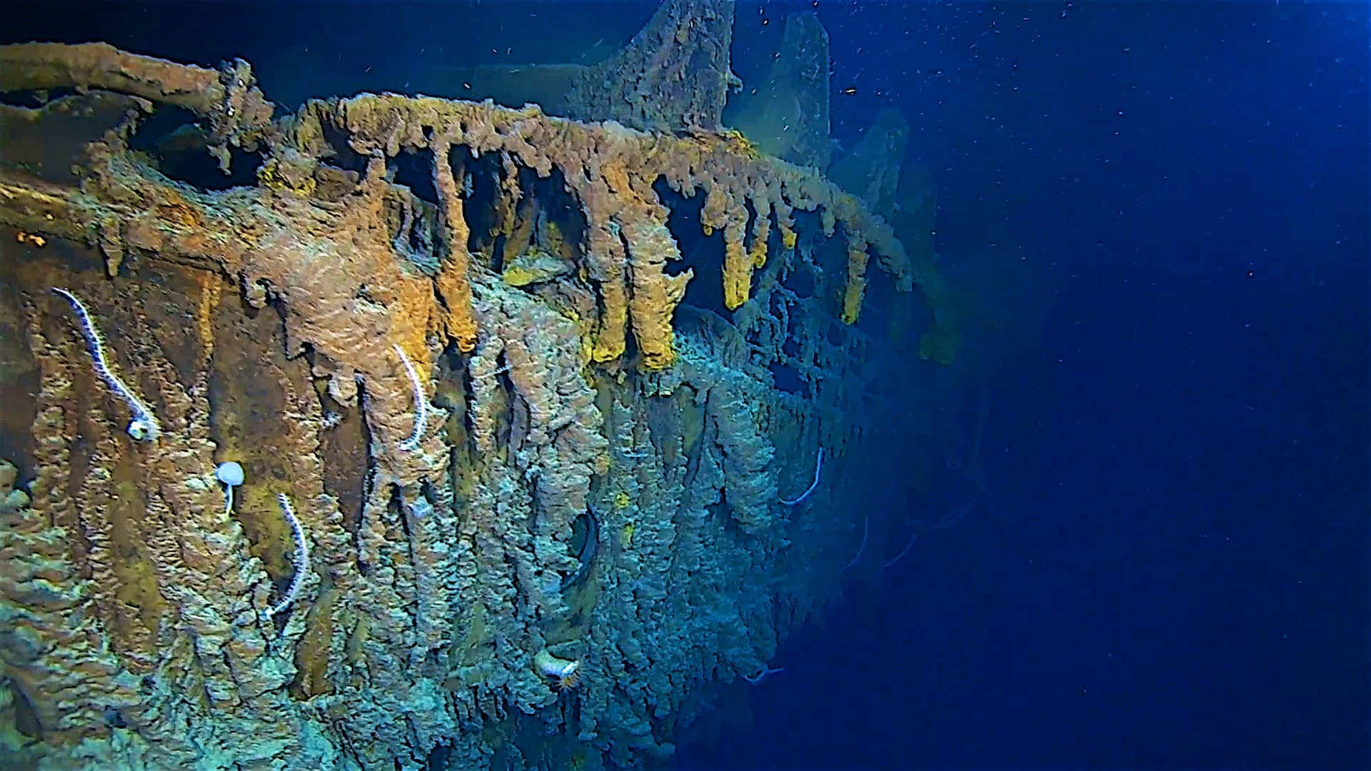 Titanic Wreck, rusted shipwreck, vibrant coral, Full HD Desktop Wallpaper