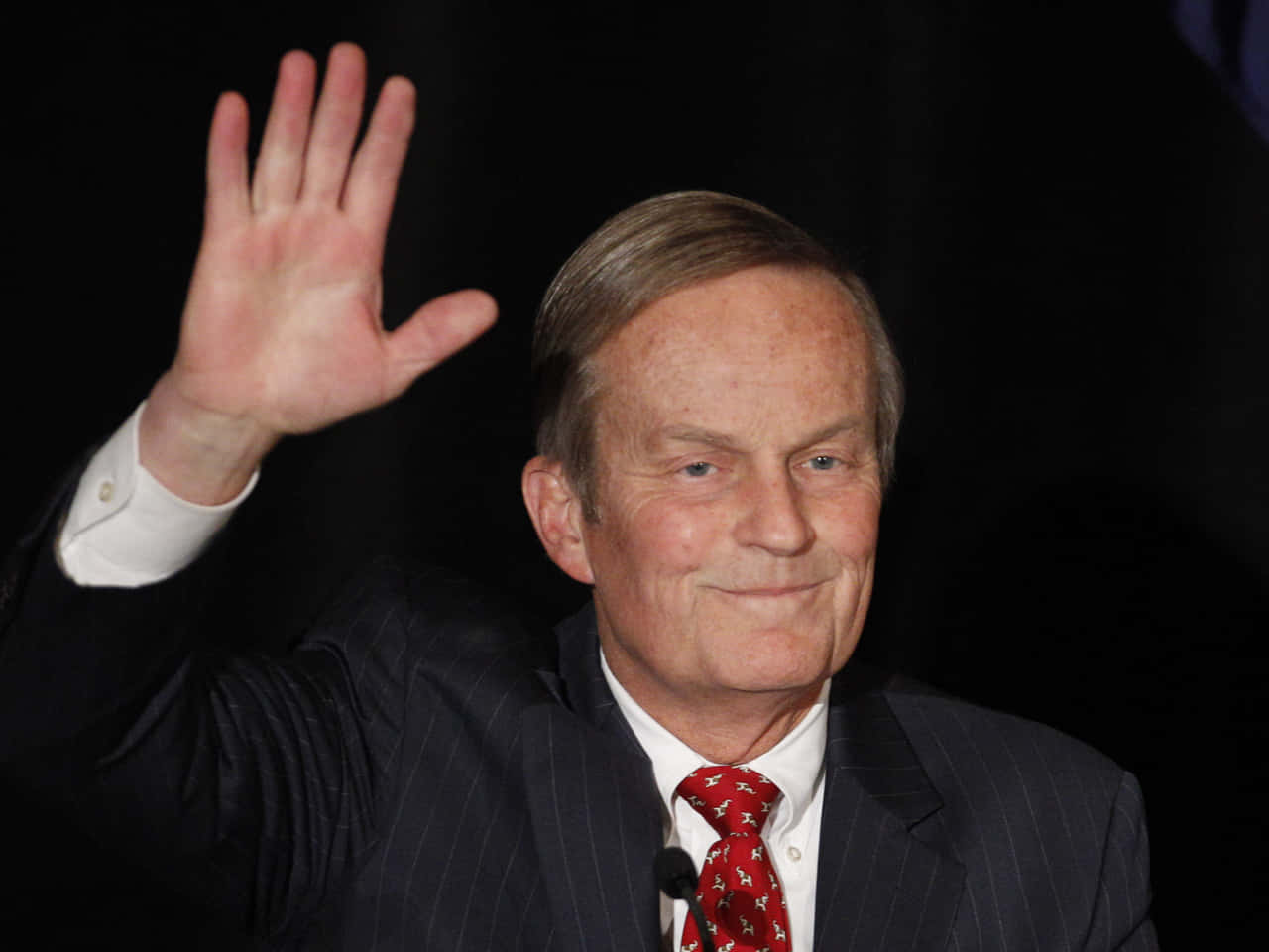 Todd Akin, dark pinstripe suit, red patterned tie, HD Desktop Wallpaper