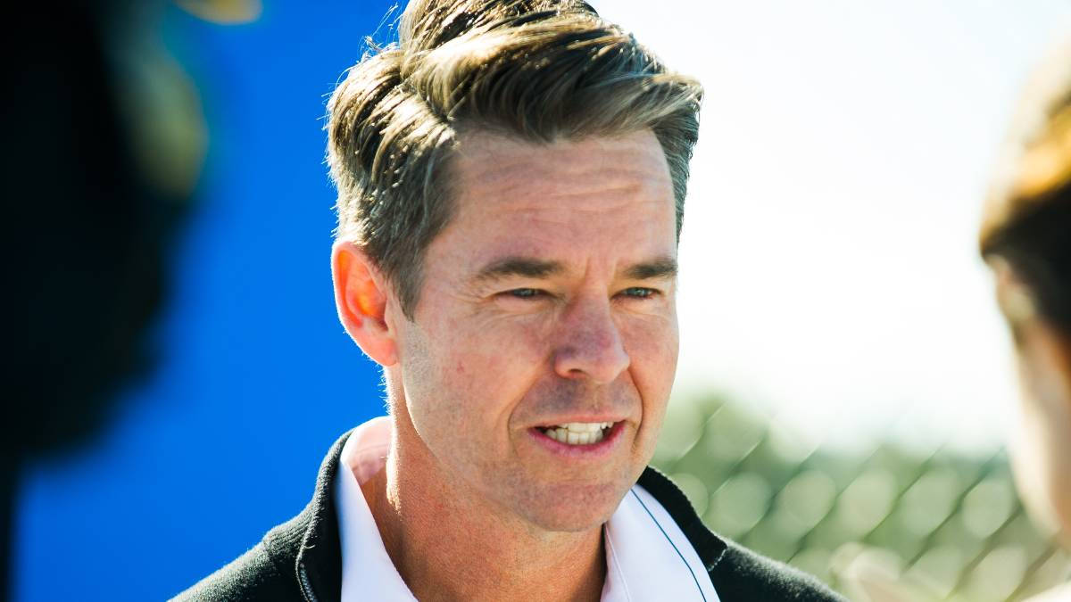 Todd Woodbridge, sunlight, blue and green background, SD Desktop Wallpaper