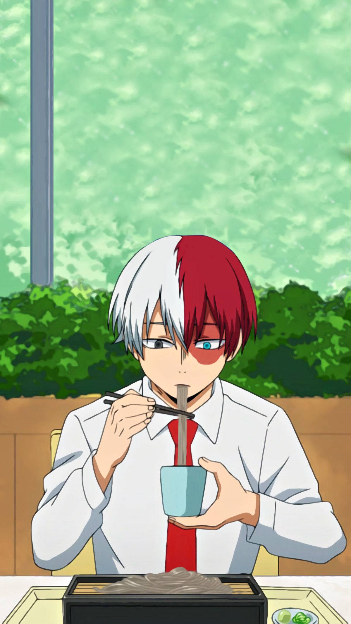 Todoroki Aesthetic, half-red half-white haired anime boy, white shirt, Full HD Phone Wallpaper