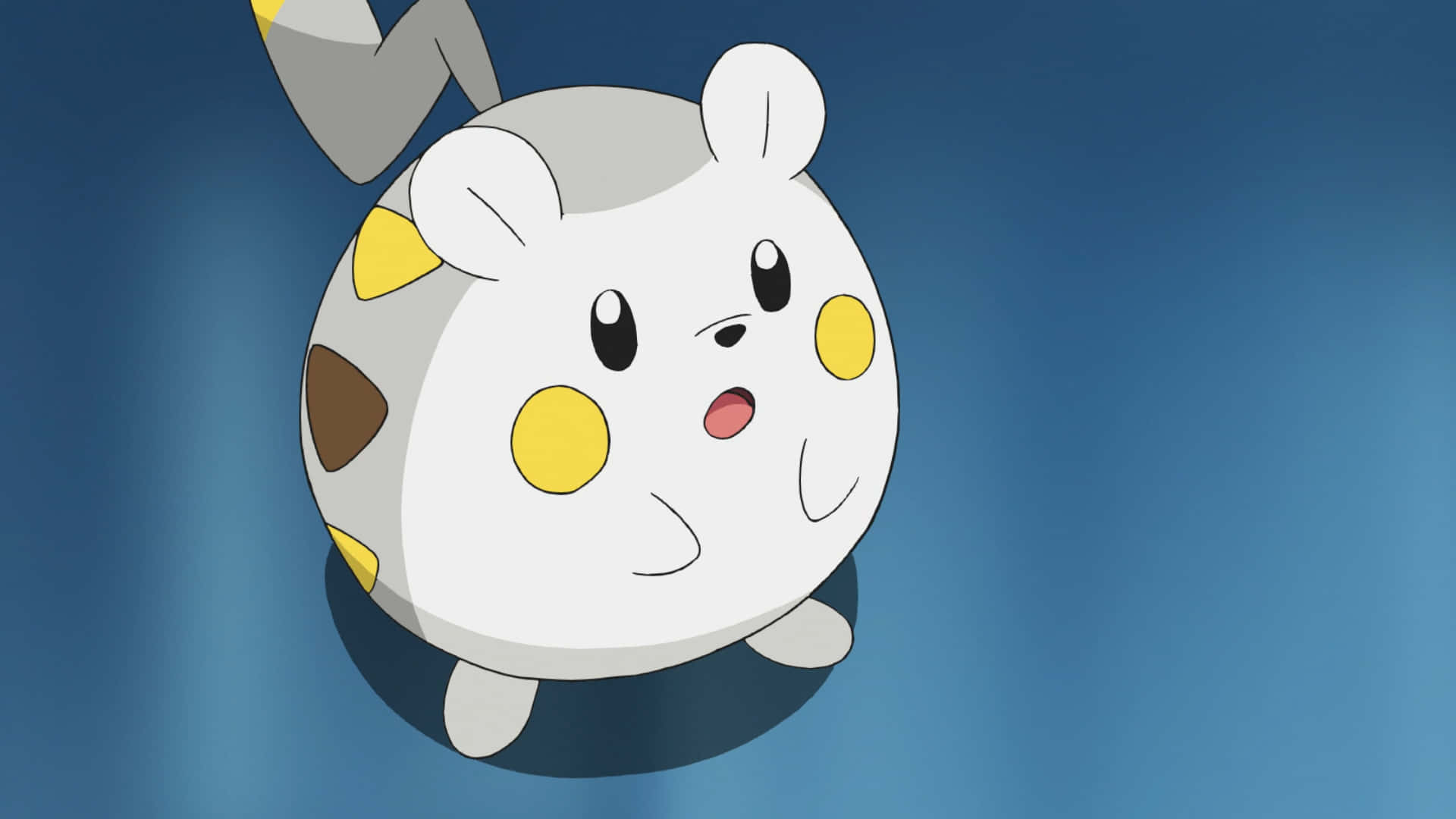 Togedemaru, white, yellow cheeks, Full HD Desktop Wallpaper