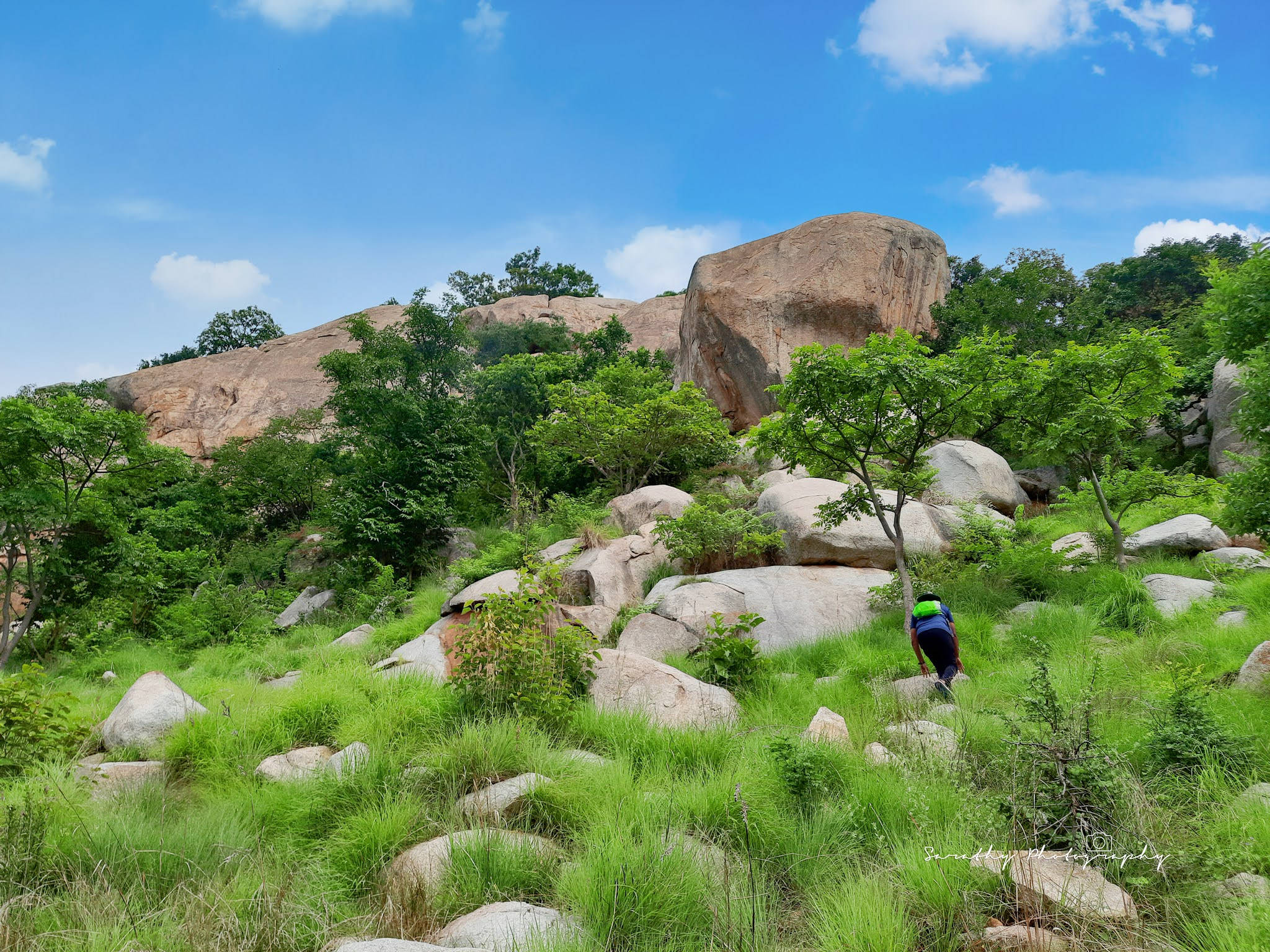Rocky Grassy Field, Togo, sunlit grassy slope, Full HD Desktop Wallpaper