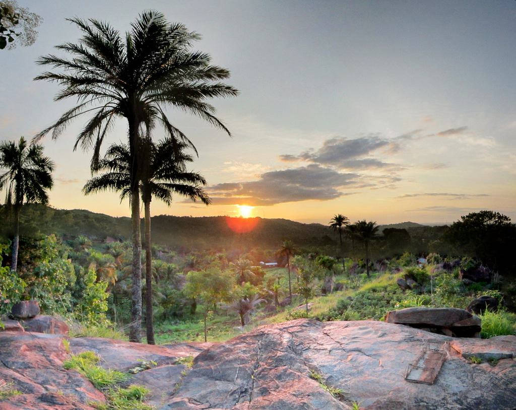 Togo, Sunset, palm trees, SD Desktop Wallpaper