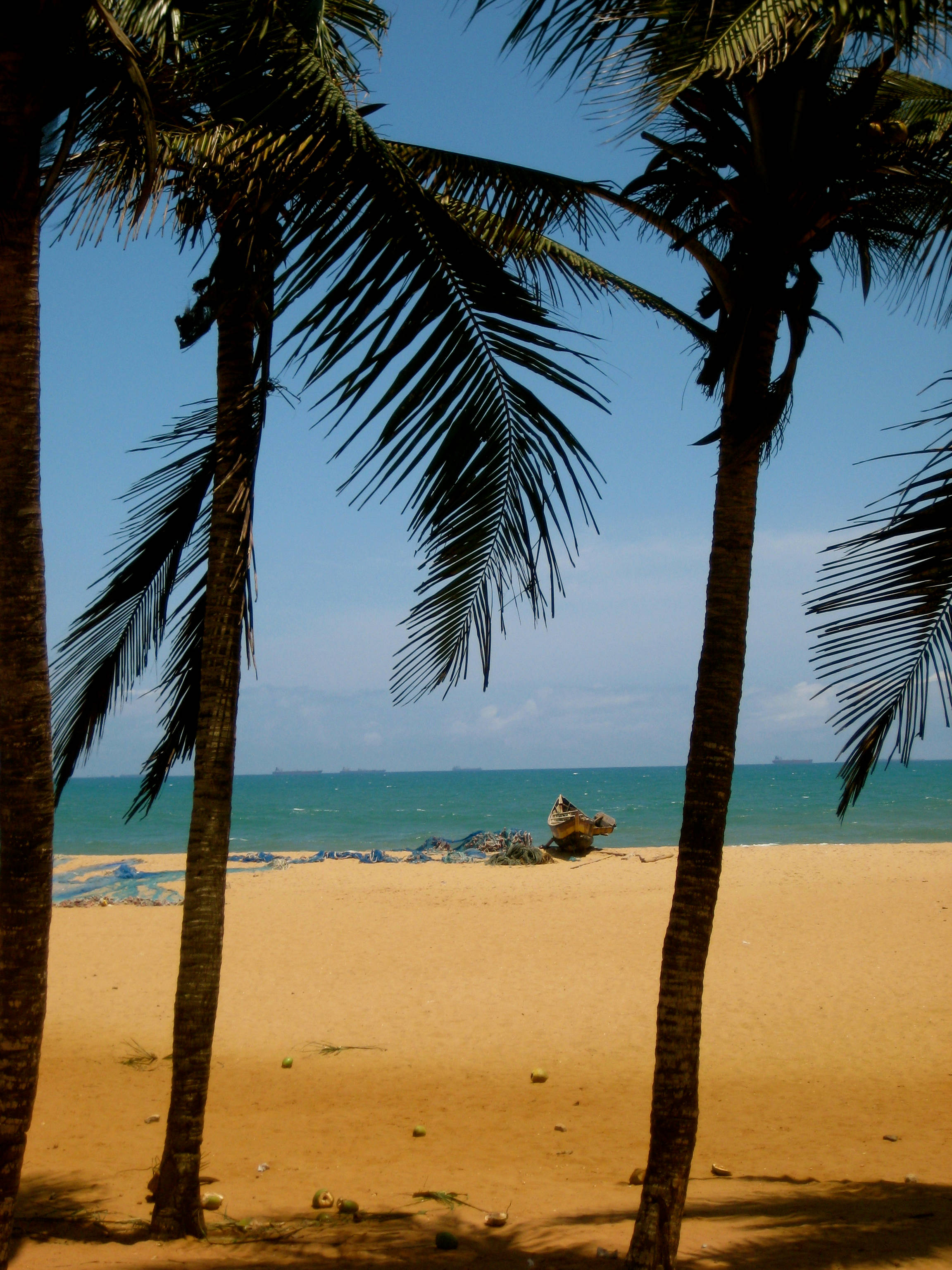 Togo, tropical beach, palm trees, 2K Phone Wallpaper