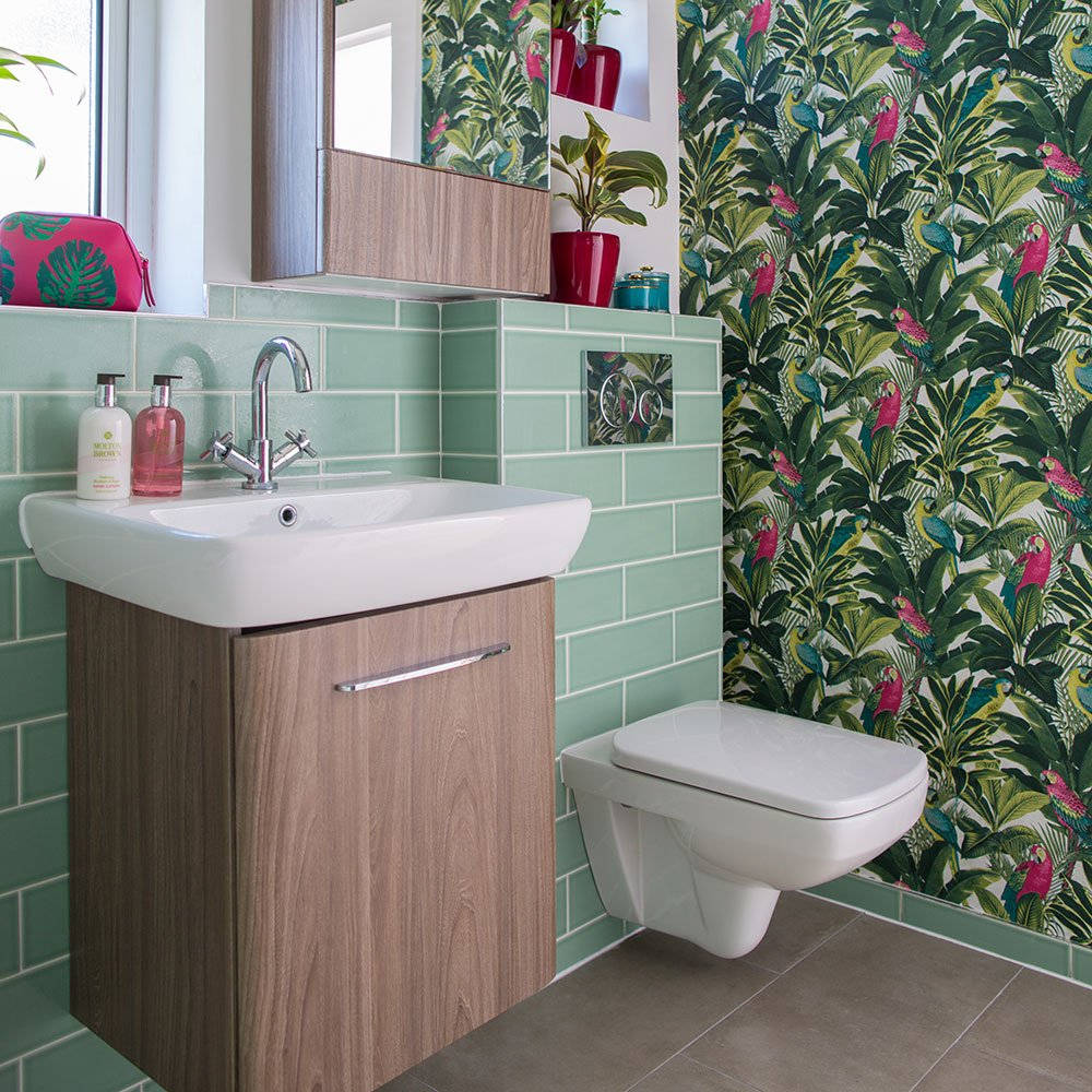 Toilet, tropical rainforest, parrot, SD Desktop Wallpaper