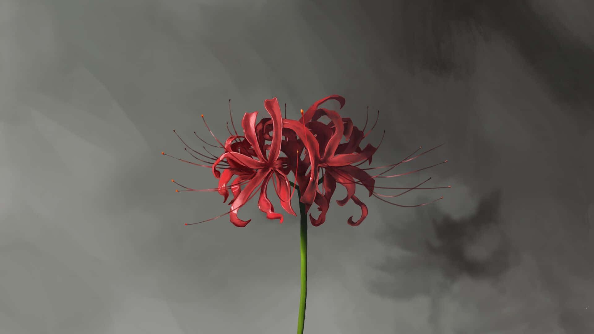 Tokyo Ghoul, flower, spider lilies, Full HD Desktop Wallpaper