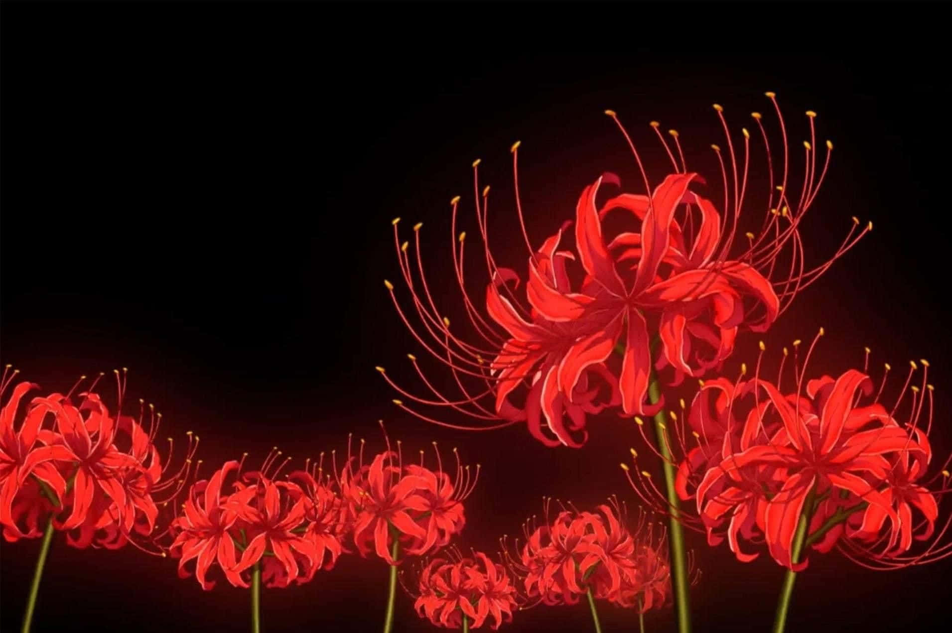 Tokyo Ghoul, spider lilies, red, HD Desktop Wallpaper