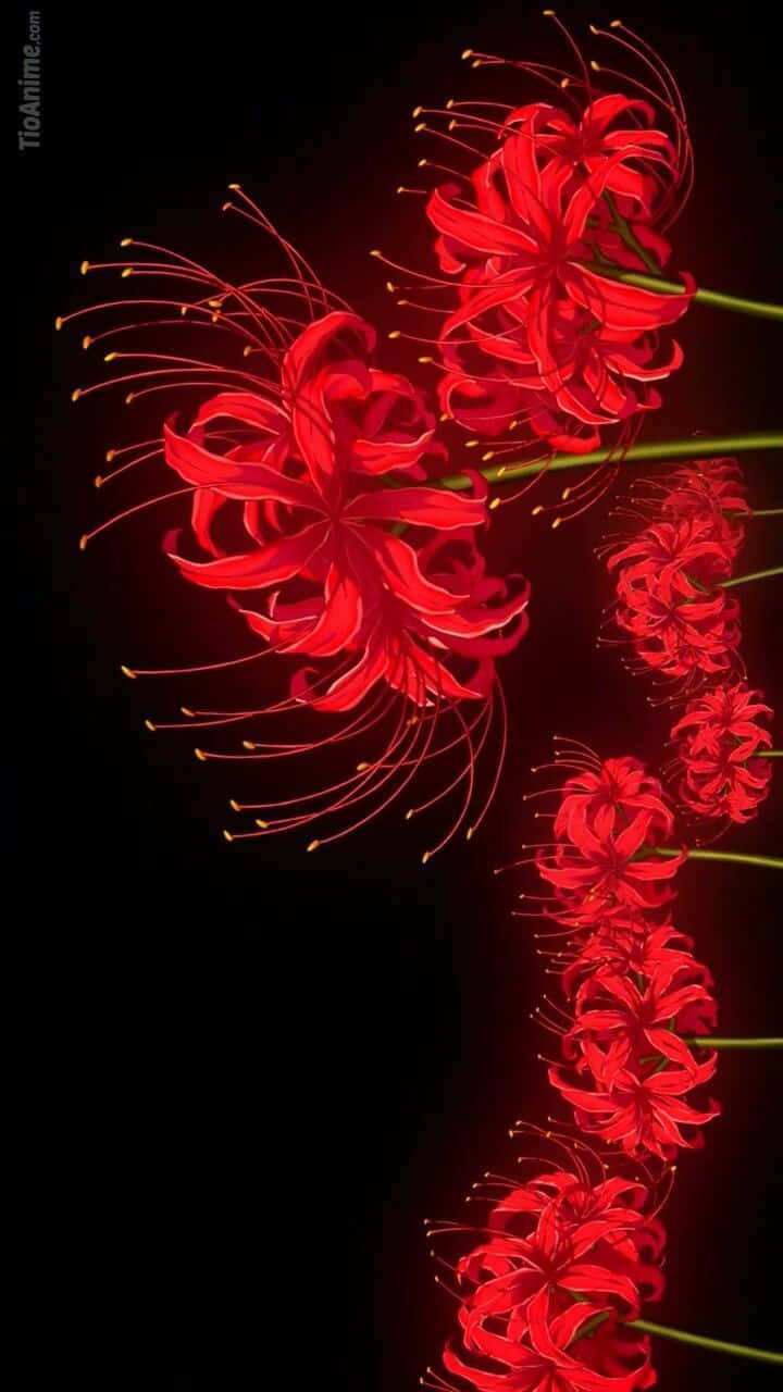 Tokyo Ghoul, flower, spider lilies, HD Phone Wallpaper