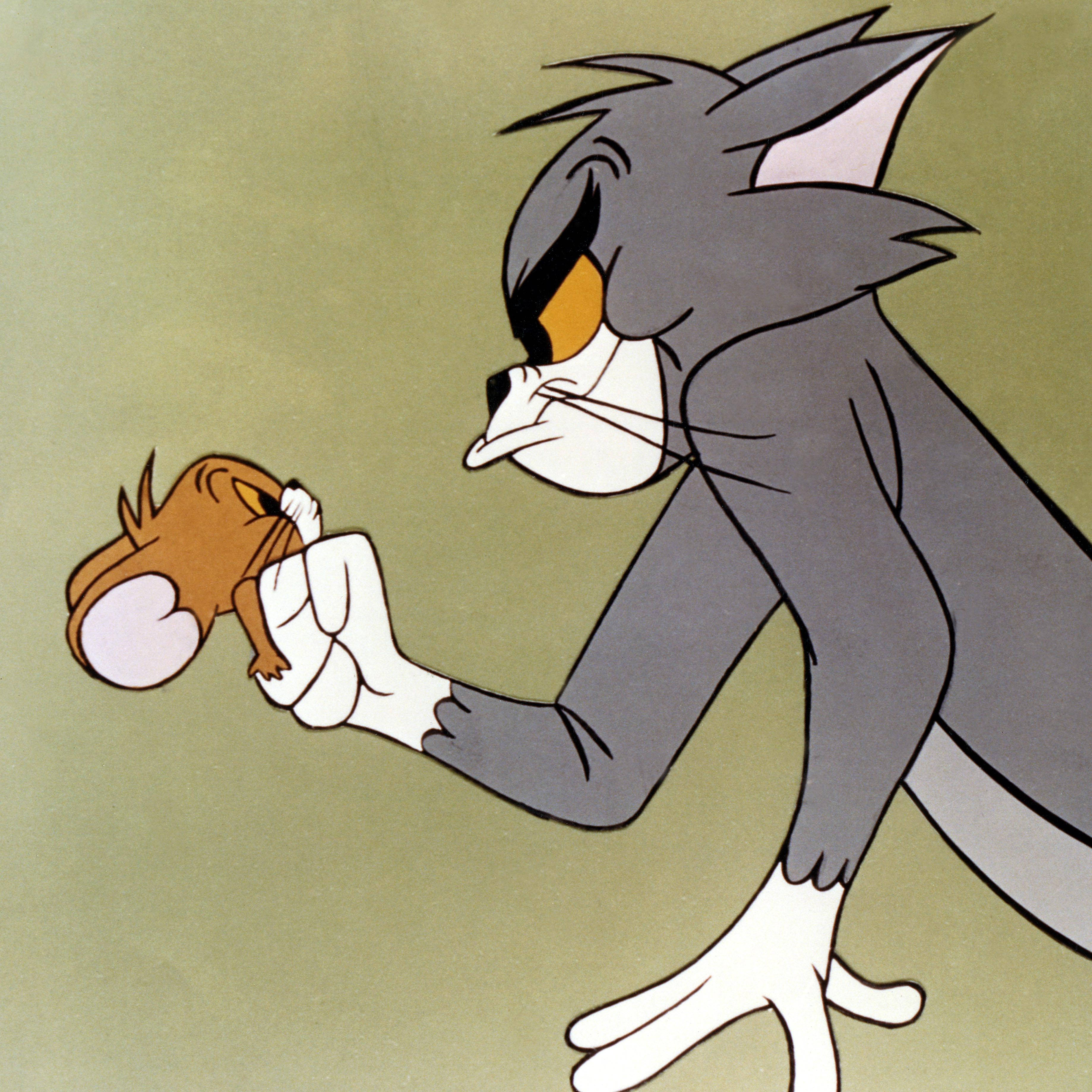 Tom, Jerry, cat and mouse fight, 2K Desktop Wallpaper
