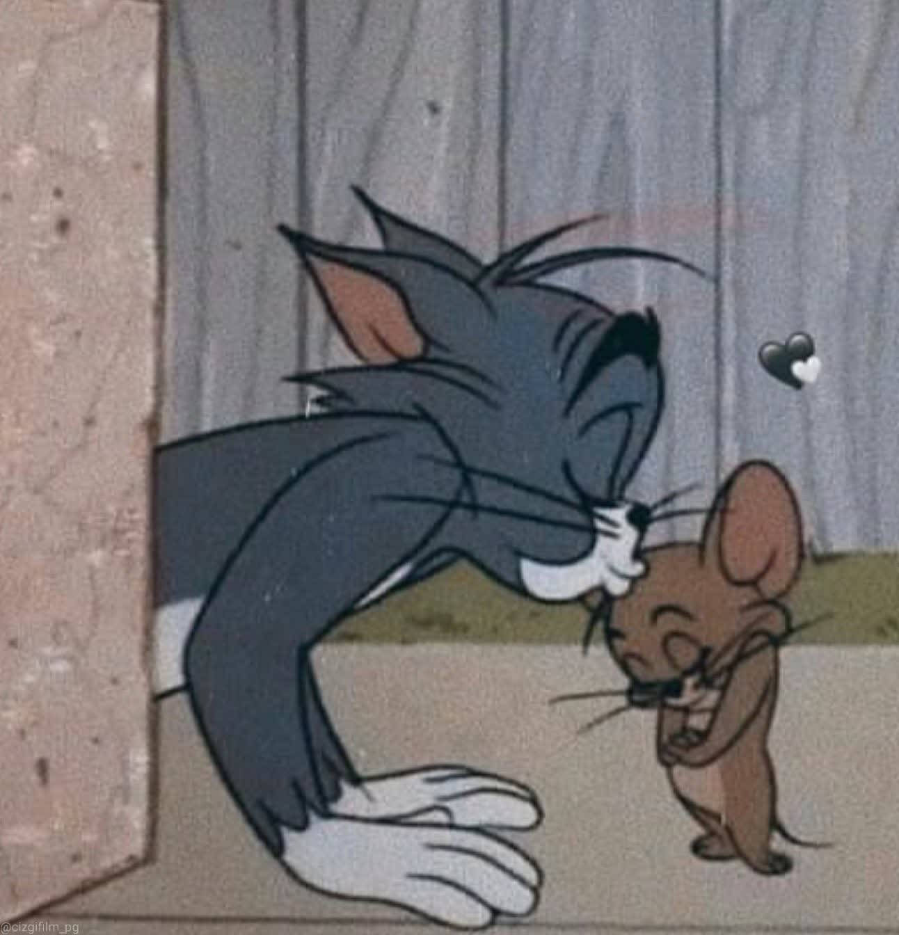 Tom And Jerry, Tom, Jerry, HD Phone Wallpaper