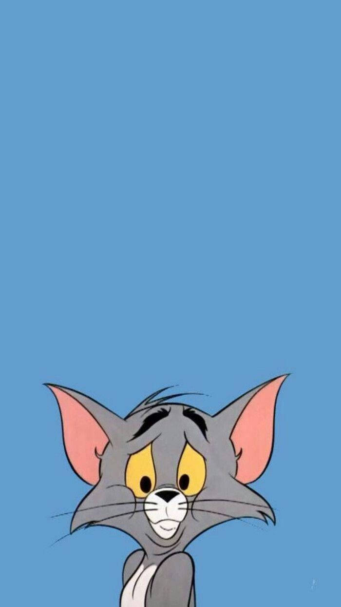 Tom, classic cartoons, yellow eyes, SD Phone Wallpaper