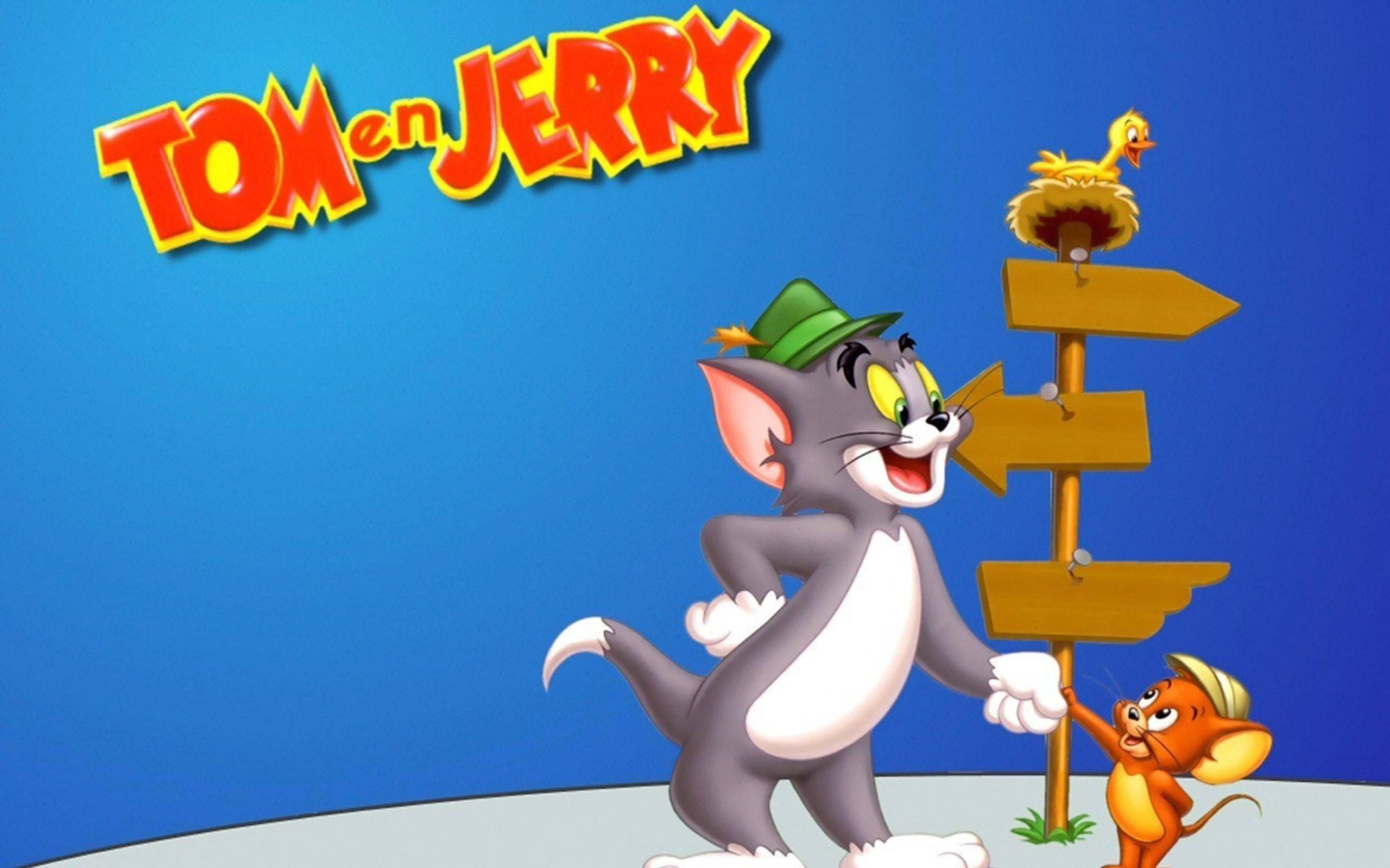 Tom And Jerry, wooden signpost, duck in a nest, 2K Desktop Wallpaper