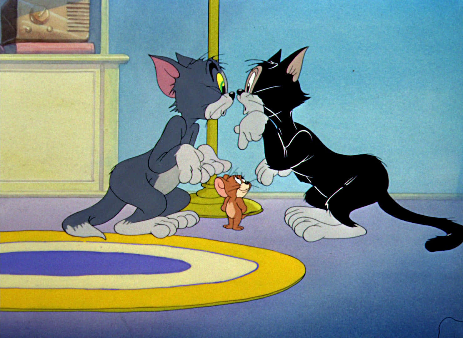 Tom And Jerry, cartoon cats, small mouse, HD Desktop Wallpaper