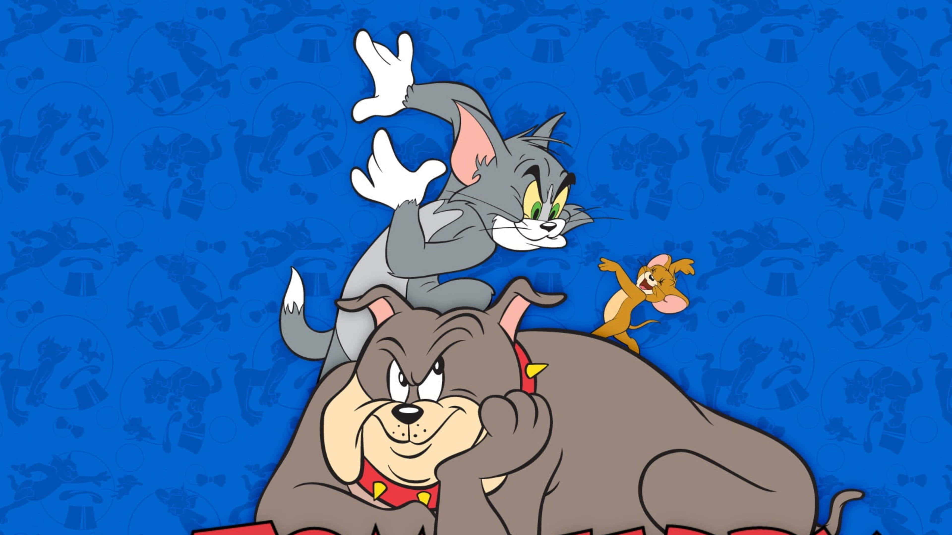 Tom, Jerry, bulldog, 4K Desktop Wallpaper