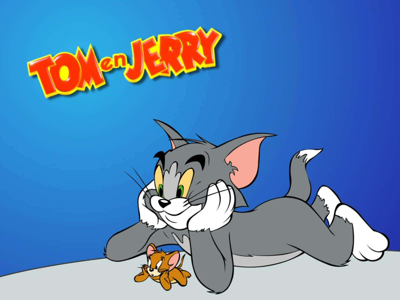 Tom And Jerry, gray cat, mouse, HD Desktop Wallpaper