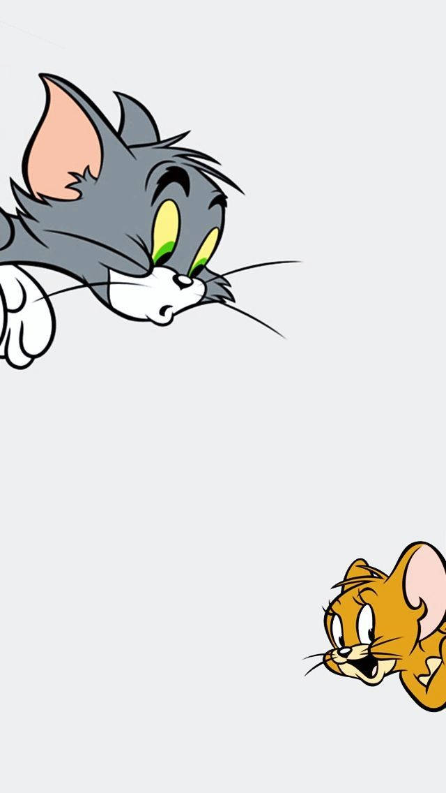 Tom And Jerry, cat, mouse, SD Phone Wallpaper