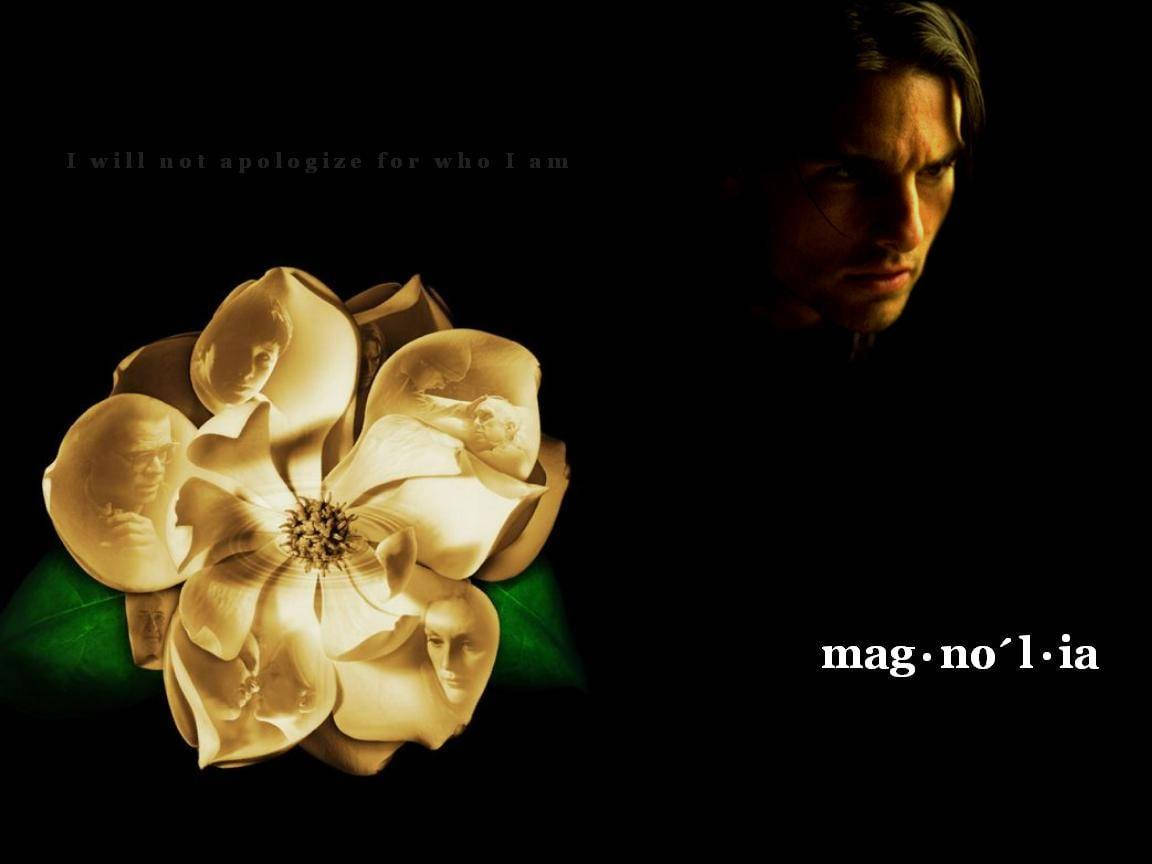 Tom Cruise, magnolia flower, faces etched into petals, SD Desktop Wallpaper