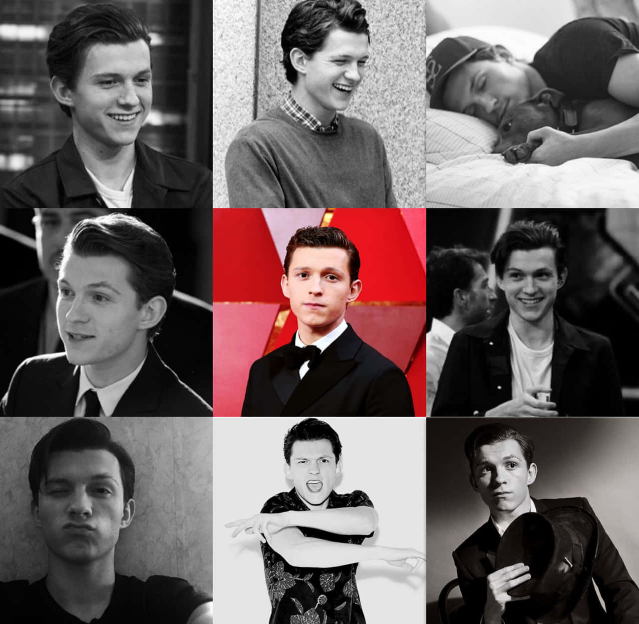 Tom Holland, black and white collage, candid moments, HD Desktop Wallpaper