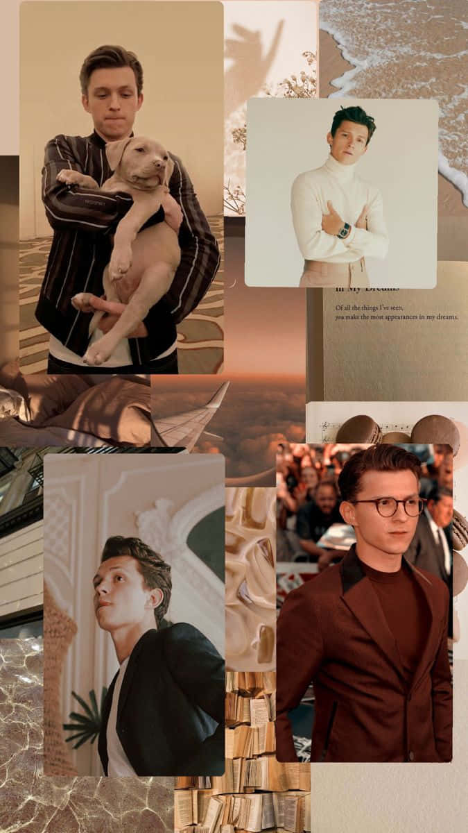 Tom Holland, puppy, books, SD Phone Wallpaper