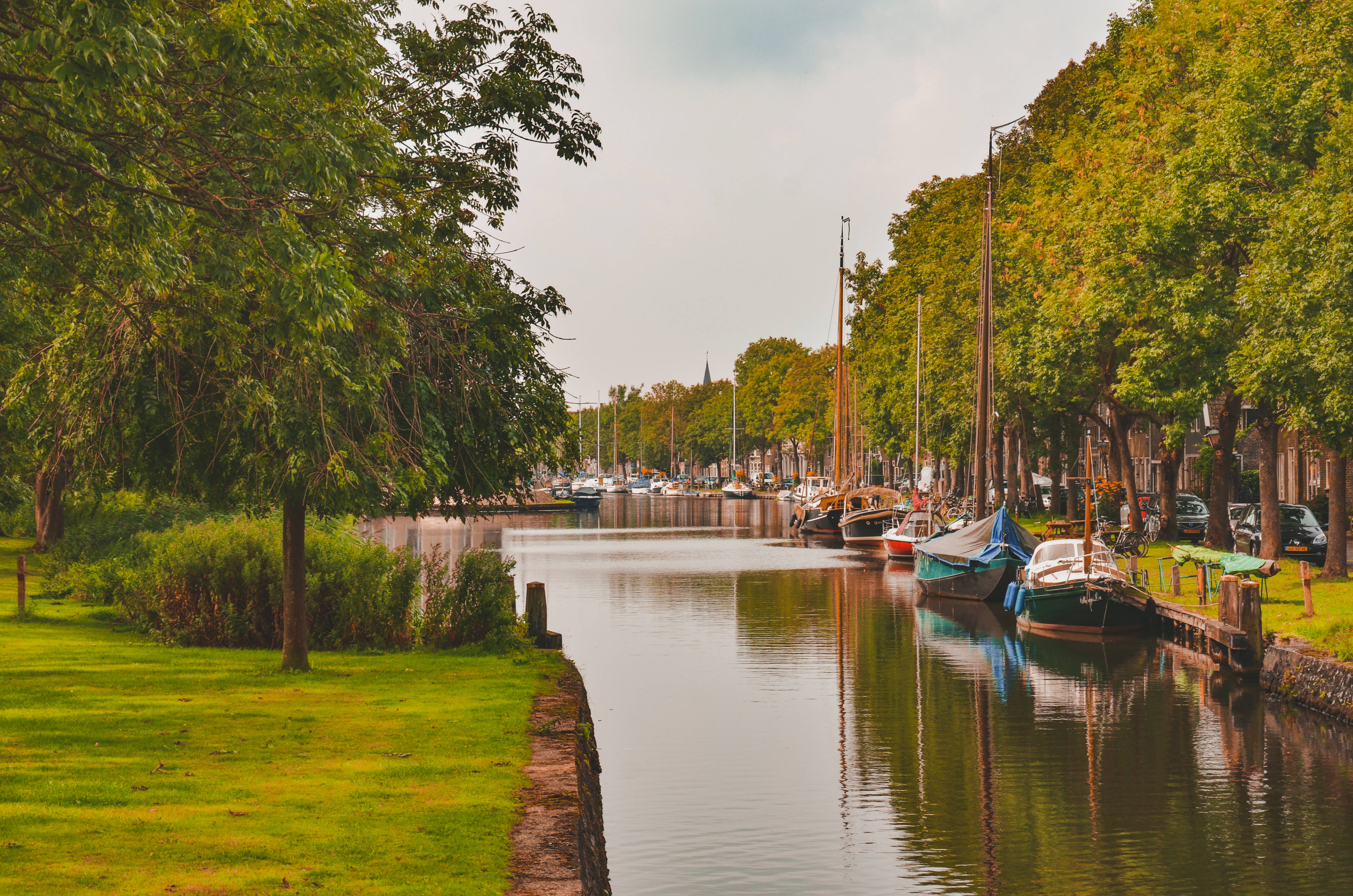 Tom Holland, canal, lush green trees, 4K Desktop Wallpaper
