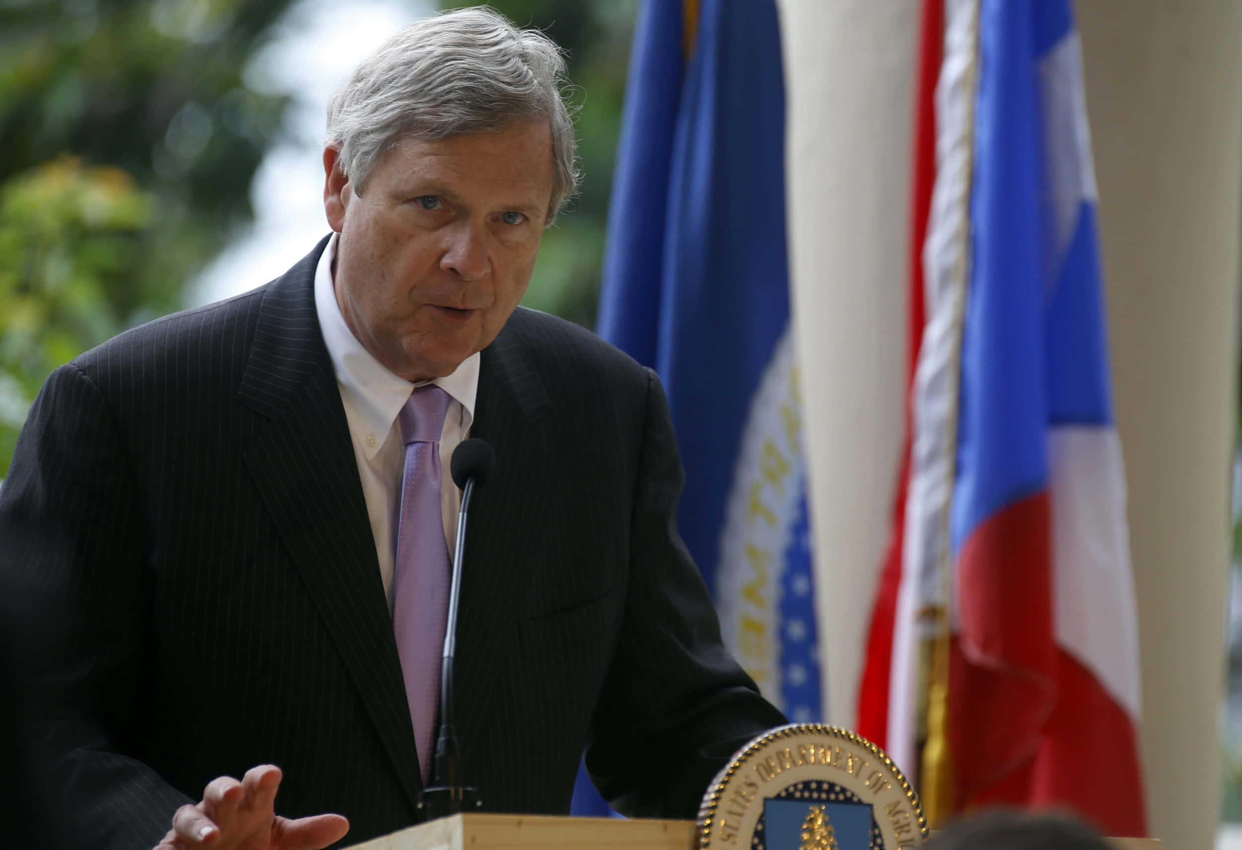 Tom Vilsack, dark pinstripe suit, lavender tie, Full HD Desktop Wallpaper