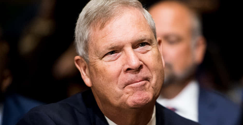 Tom Vilsack, half smile, close-up portrait, SD Desktop Wallpaper