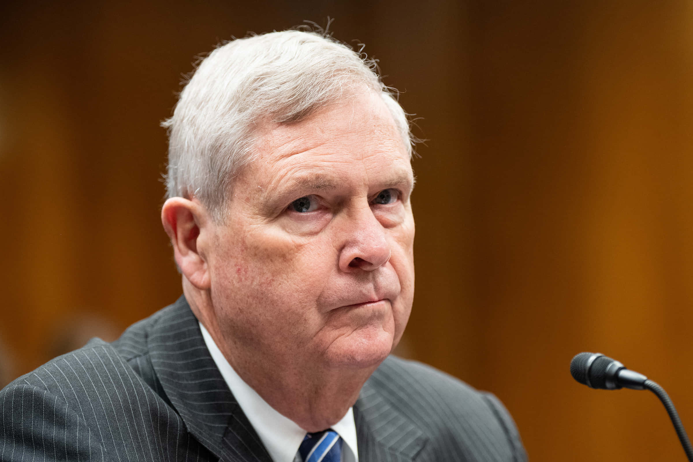 Tom Vilsack, white hair, pinstripe suit, Full HD Desktop Wallpaper