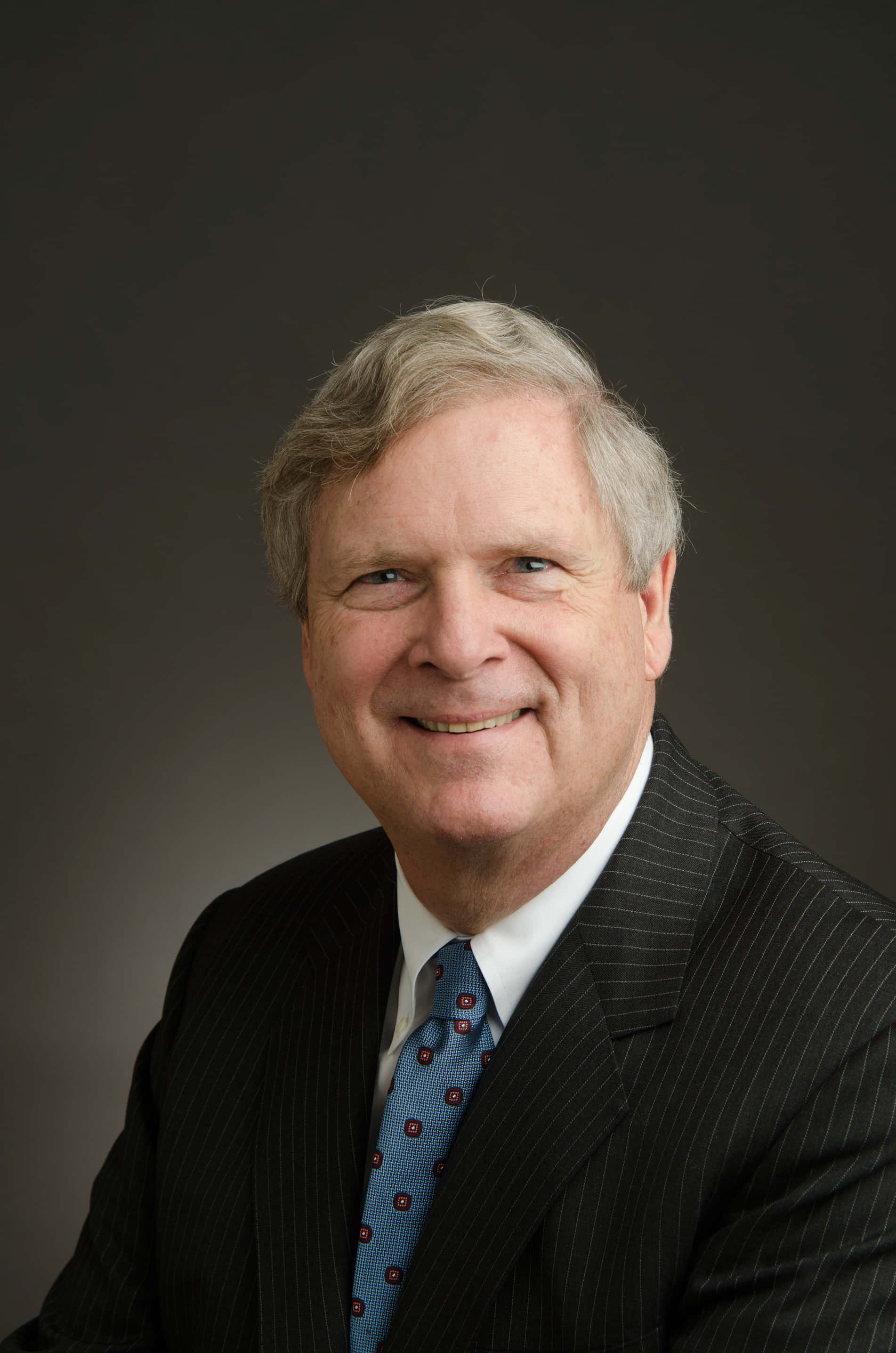 Tom Vilsack, pinstripe suit, patterned tie, 2K Phone Wallpaper