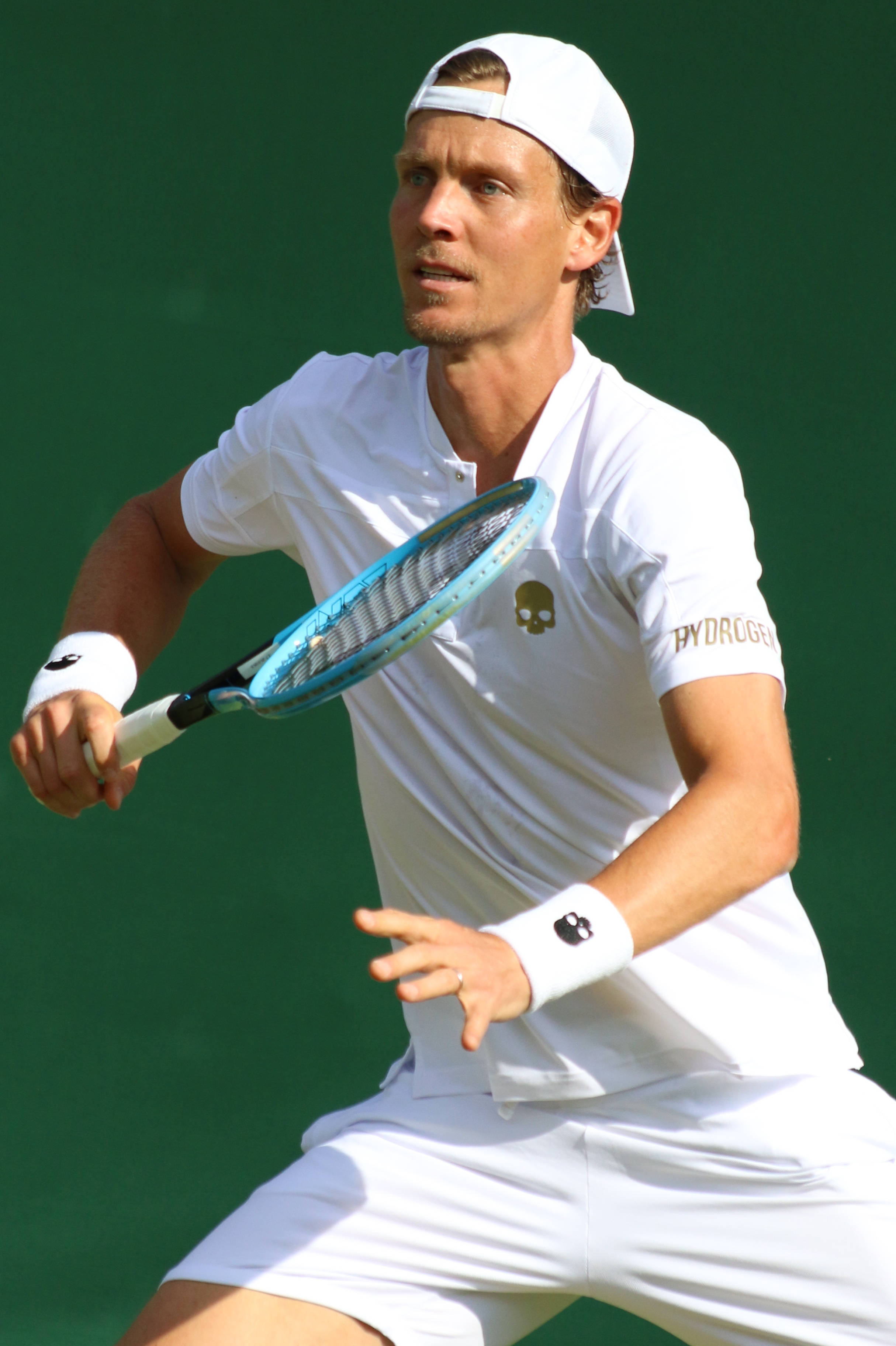 Tomas Berdych, green backdrop, white gear, 2K Phone Wallpaper