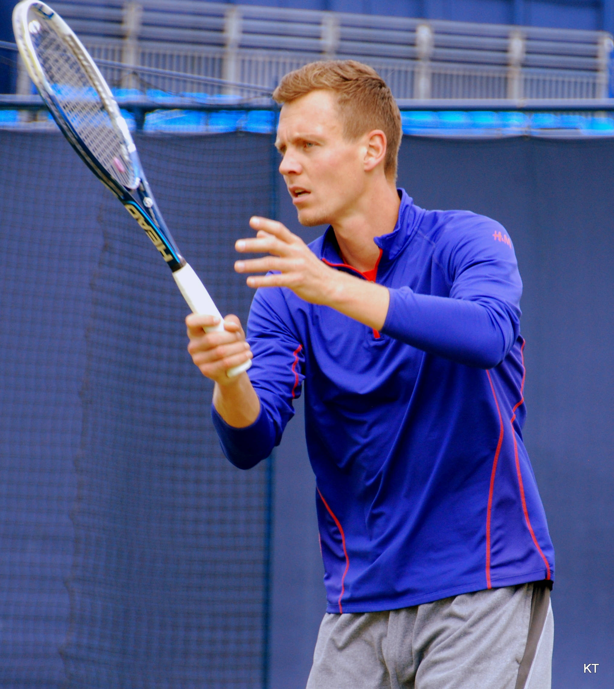 Tomas Berdych, blue shirt, blue netting, Full HD Phone Wallpaper