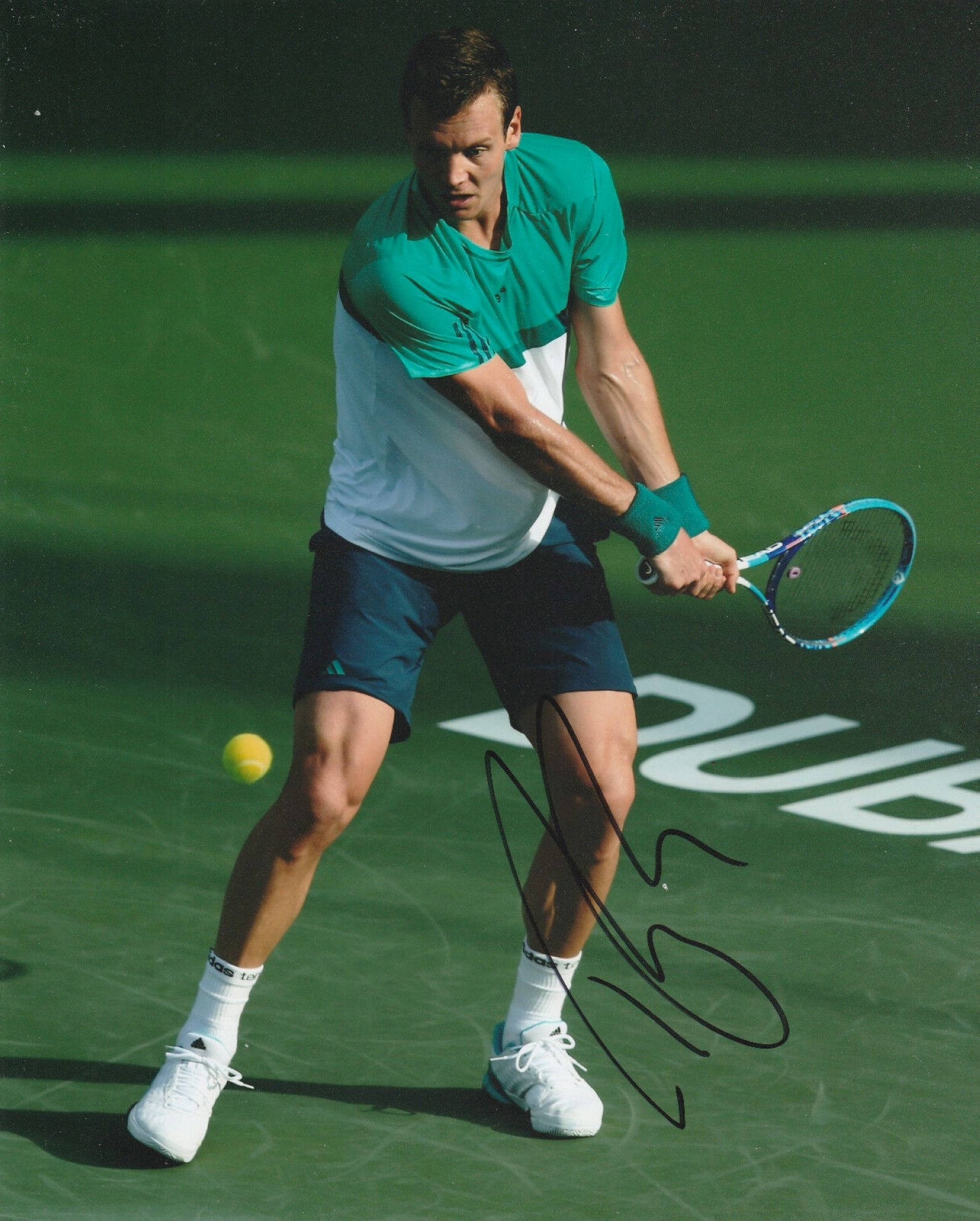 Tomas Berdych, green and white shirt, yellow ball, Full HD Phone Wallpaper