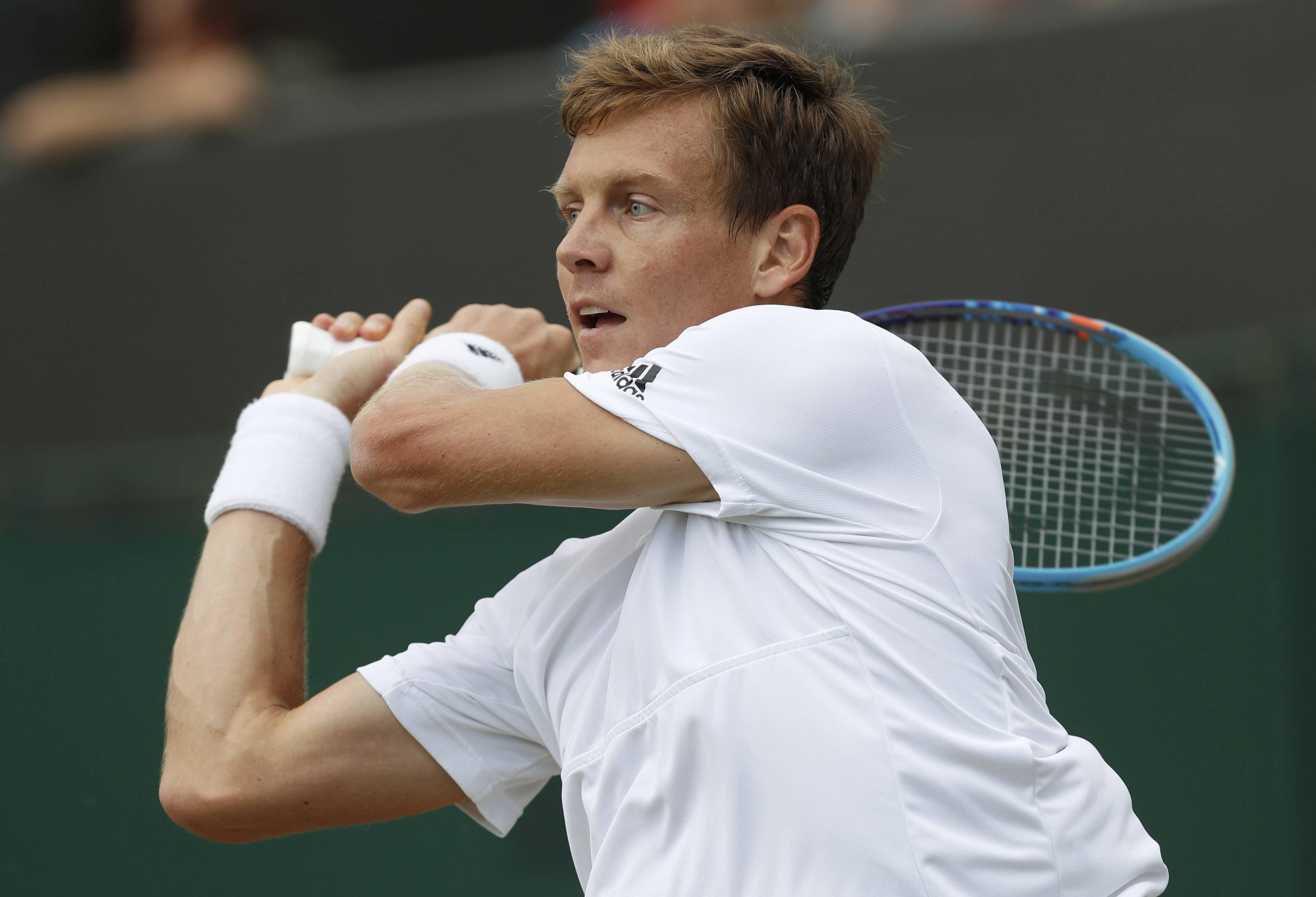 Tomas Berdych, white gear, backhand swing, 2K Desktop Wallpaper