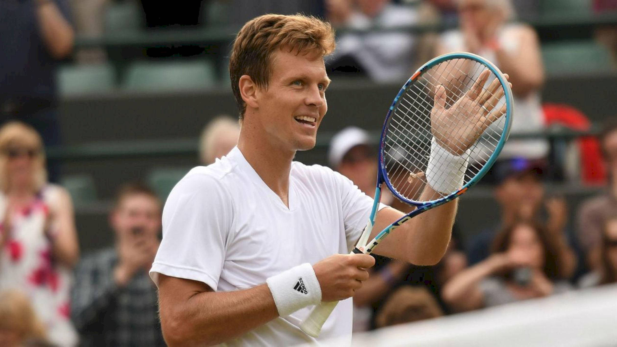 Tomas Berdych, white shirt, grass court, Full HD Desktop Wallpaper