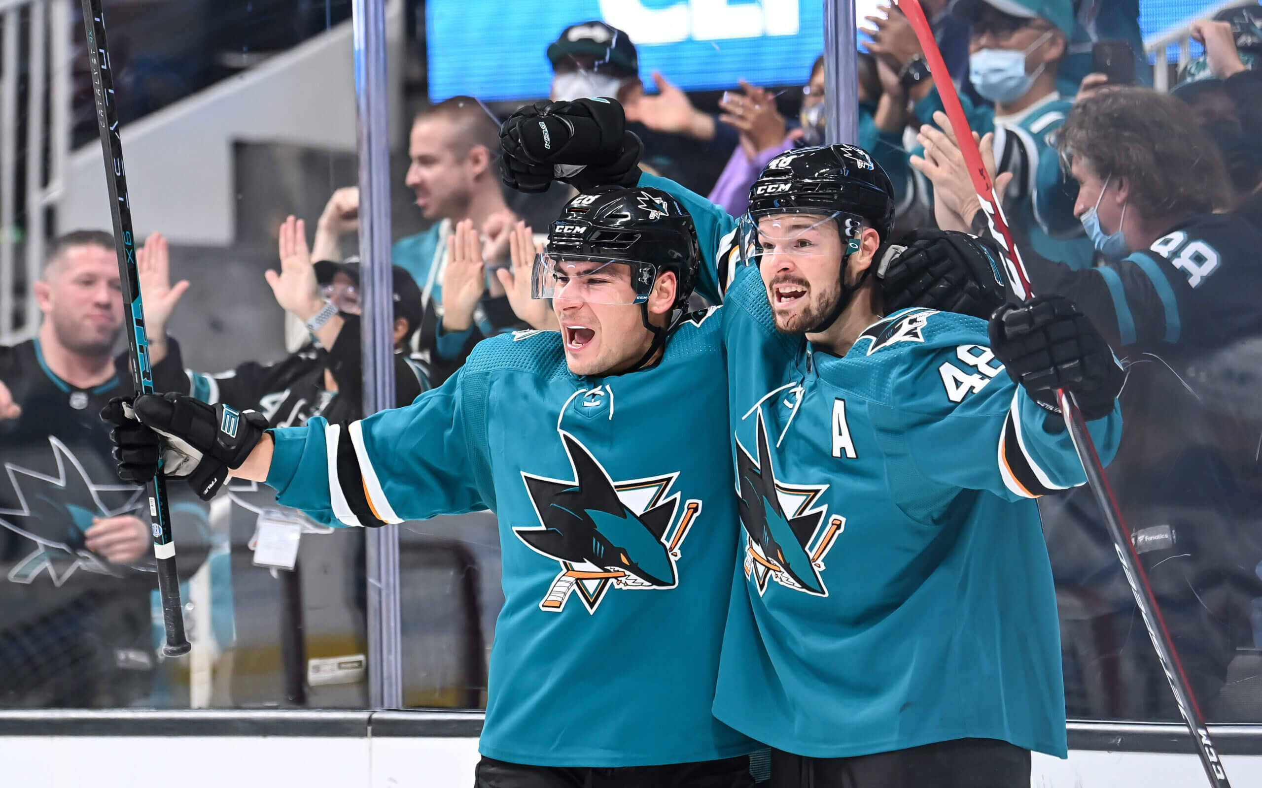 Tomas Hertl, teal Sharks jerseys, goal, 2K Desktop Wallpaper