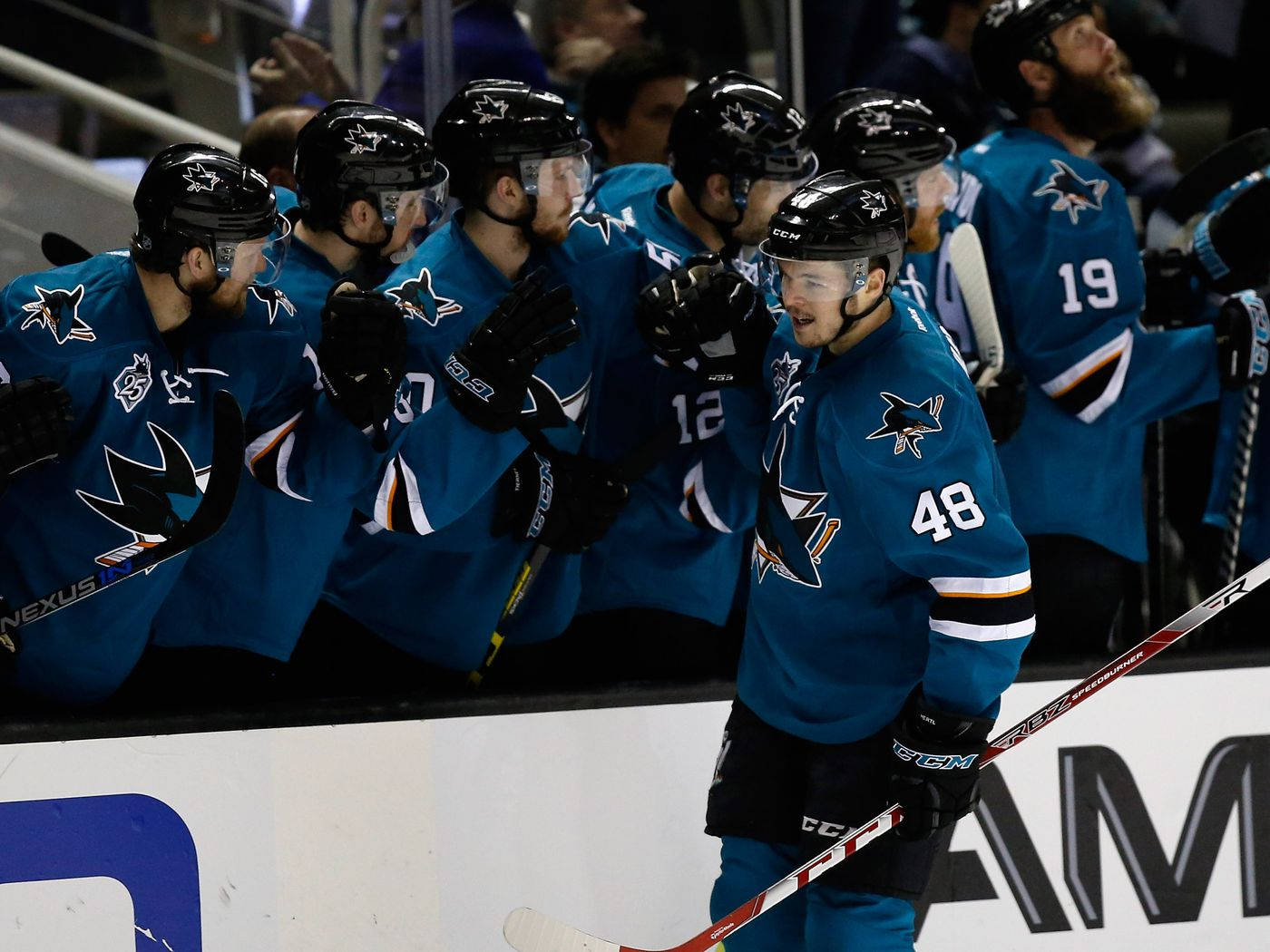 Tomas Hertl, blue team, blue jerseys, HD Desktop Wallpaper