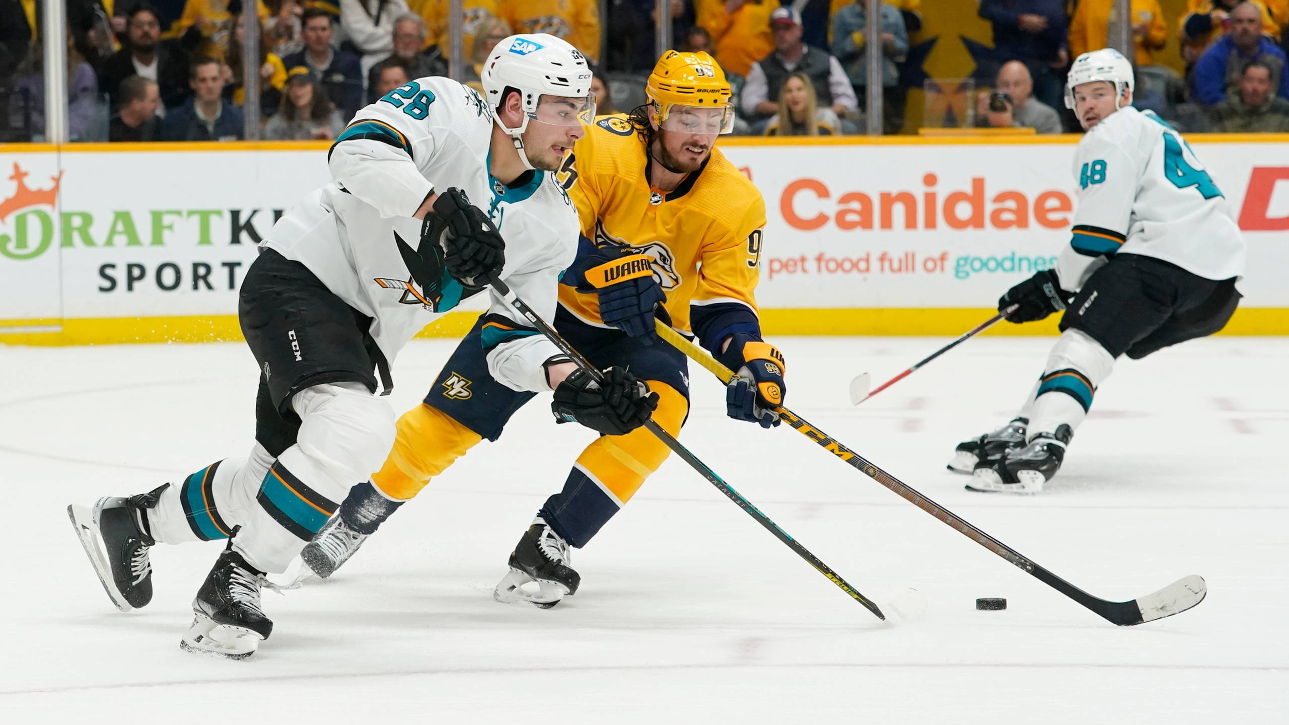 Tomas Hertl, ice hockey player, puck control, 2K Desktop Wallpaper