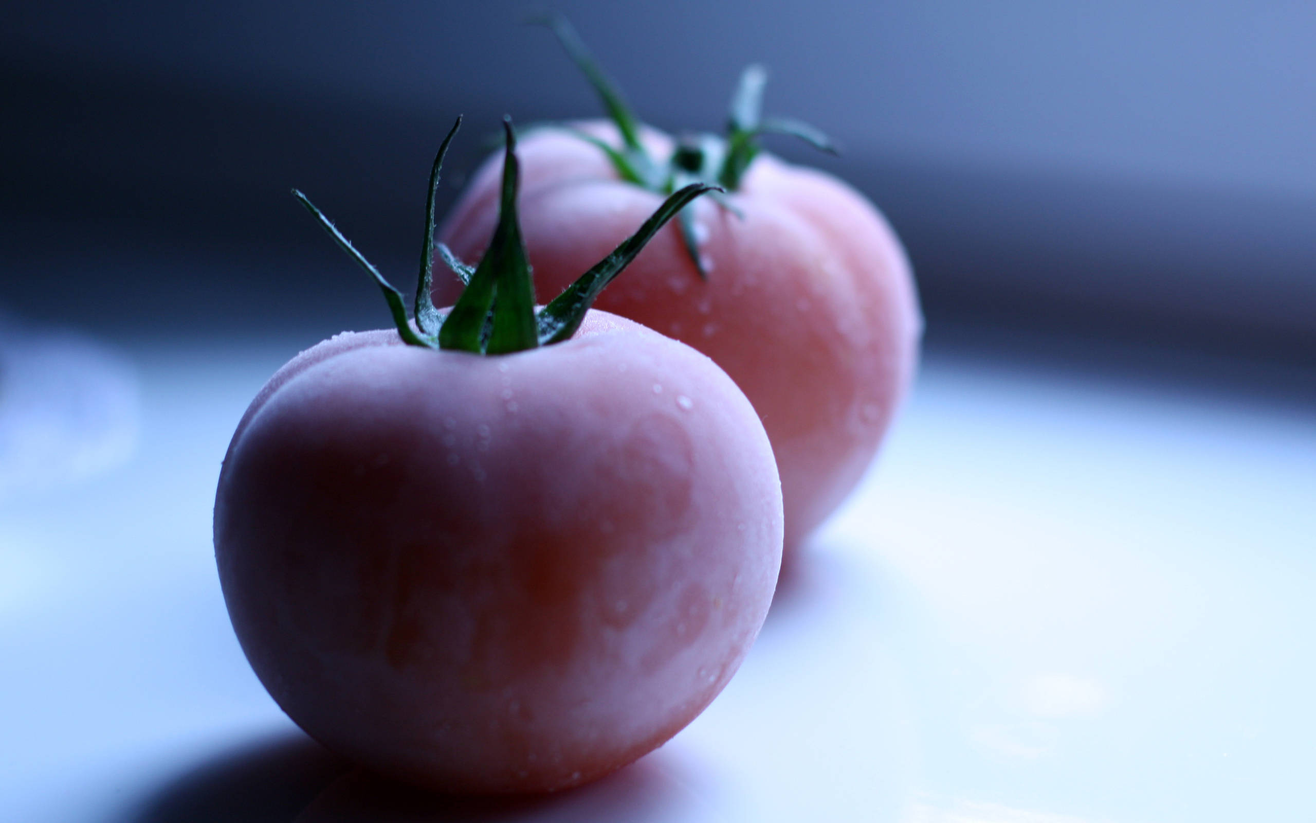 pink tomato, frost-covered, green stem, 2K Desktop Wallpaper