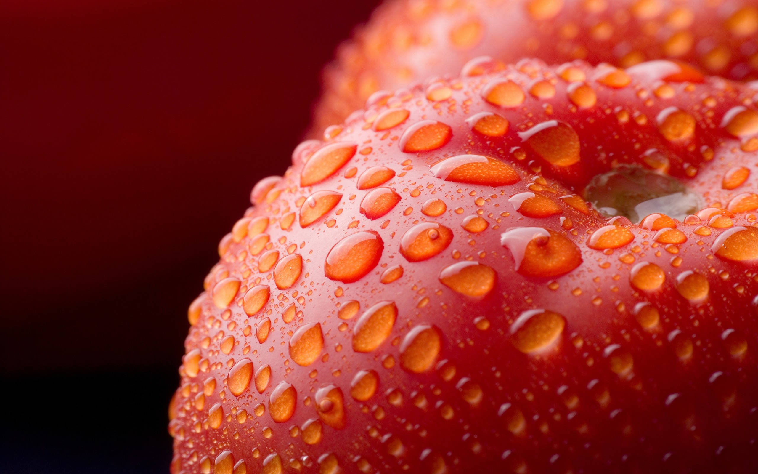 vibrant red tomato, dewy water droplets, deep red blurred background, 2K Desktop Wallpaper