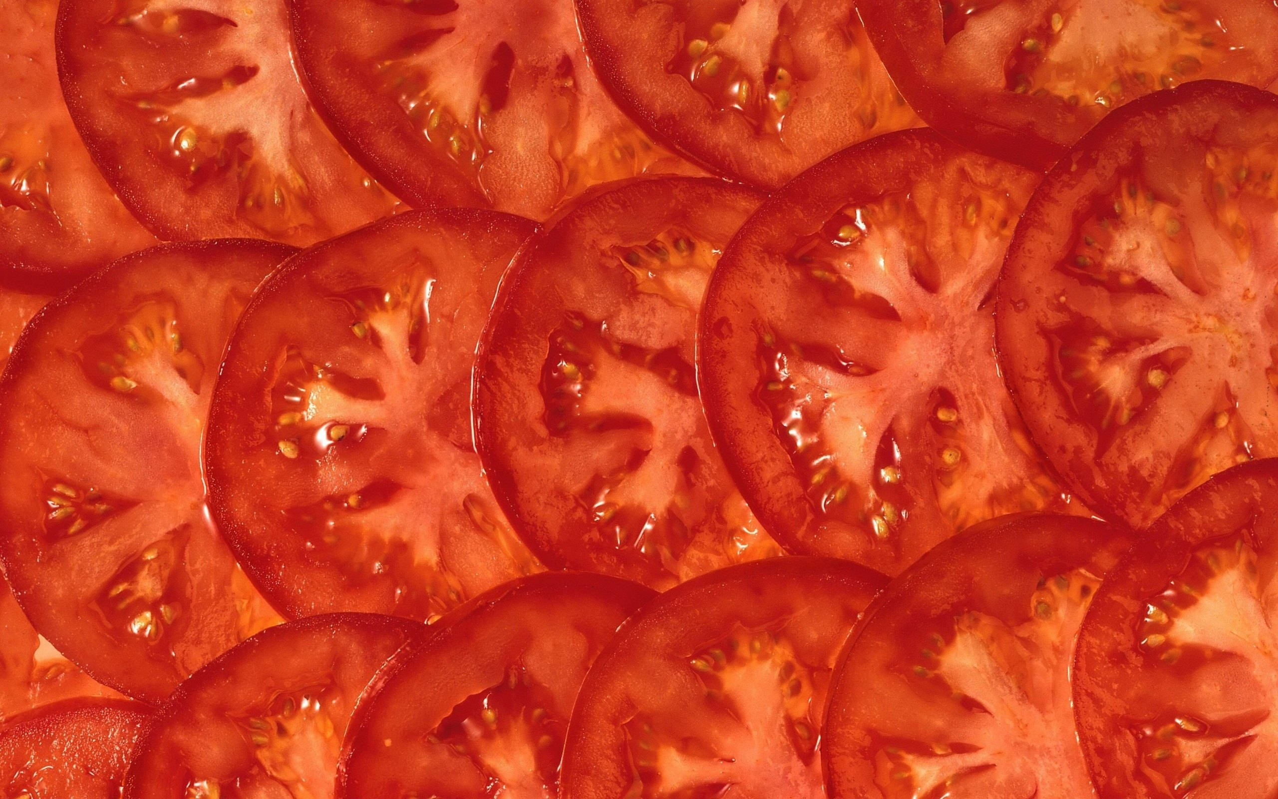 Tomato, juicy red tomato slices, vibrant overlapping pattern, 2K Desktop Wallpaper