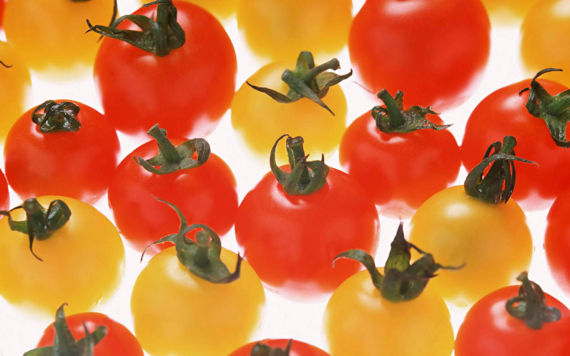 yellow cherry tomatoes, red cherry tomatoes, green stems, Full HD Desktop Wallpaper