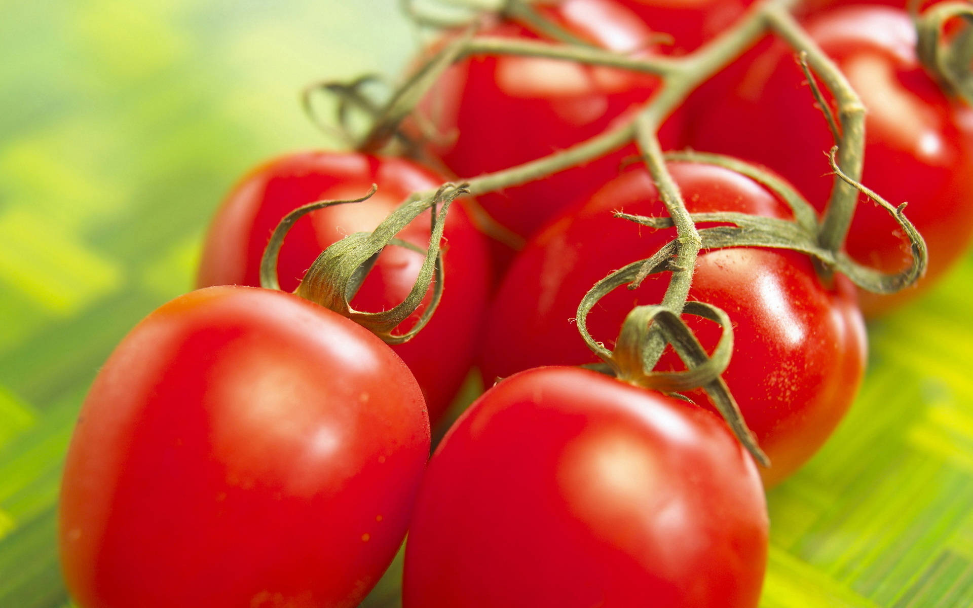 shiny, clustered red tomato fruits, juicy red cherry tomatoes, Full HD Desktop Wallpaper